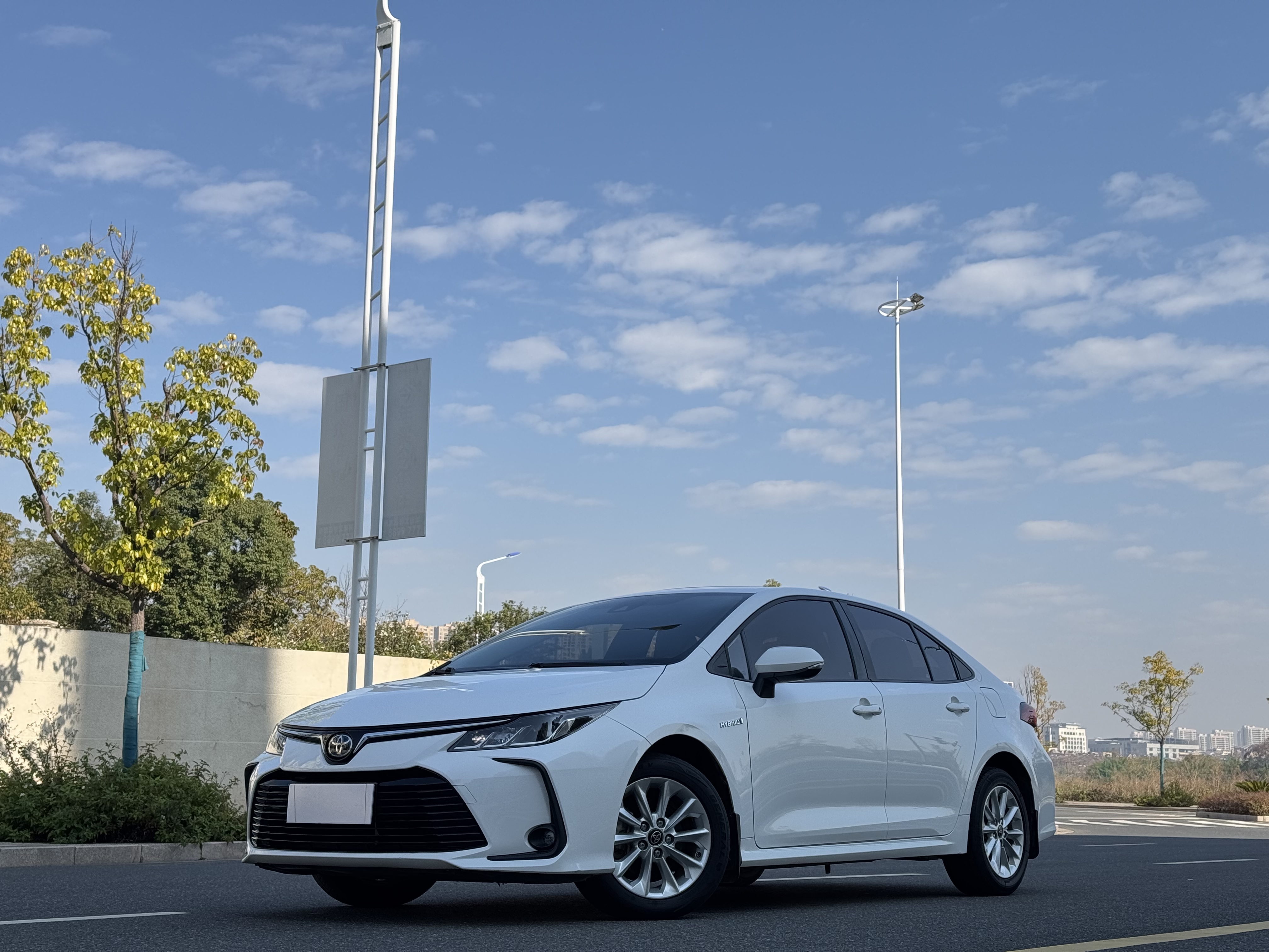 Toyota Corolla 2021 car image 