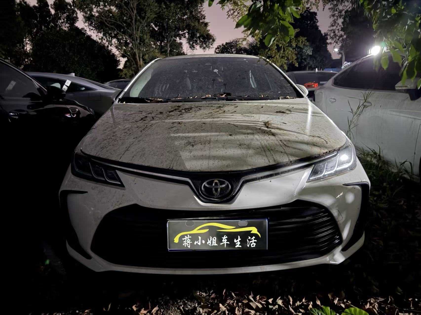 Corolla 2023 car image 