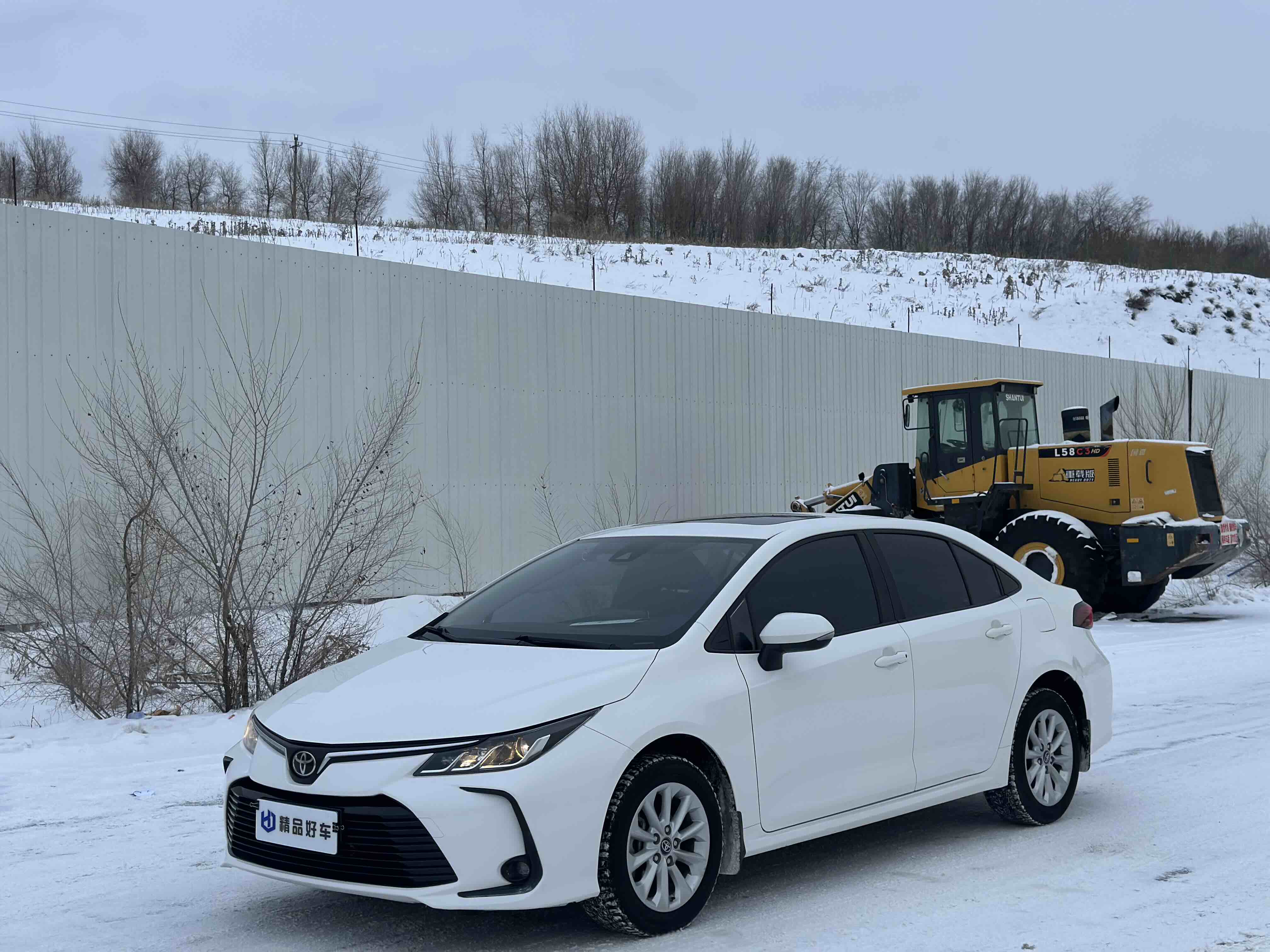 Toyota Corolla 2022 Toyota Corolla 2022 car image