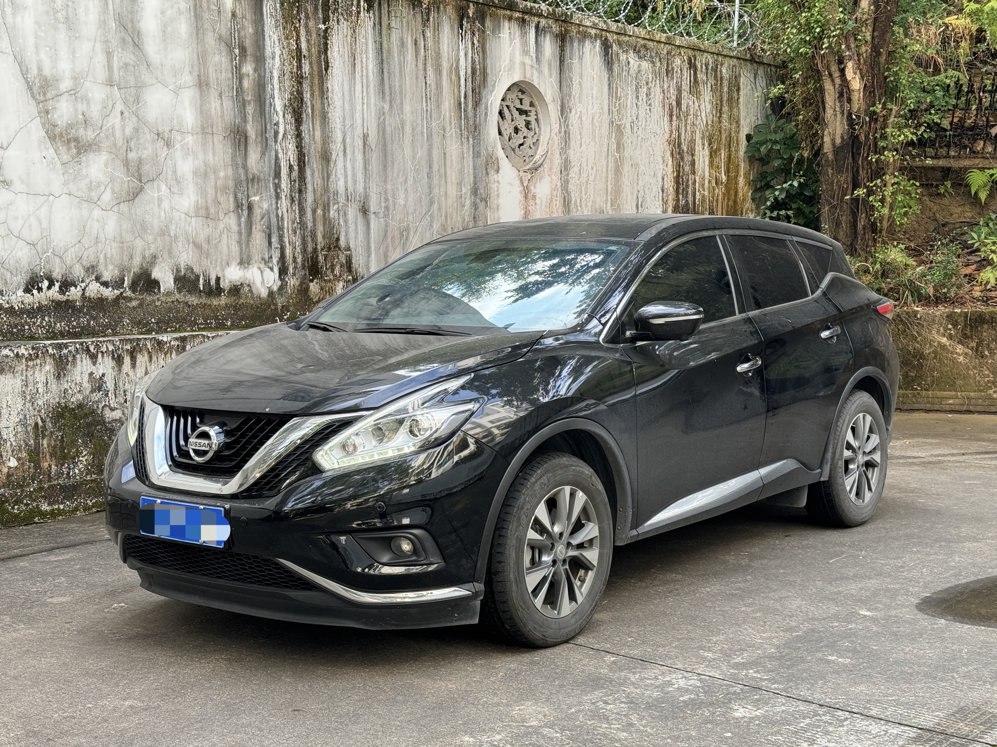Nissan Murano 2021 汽车图片 