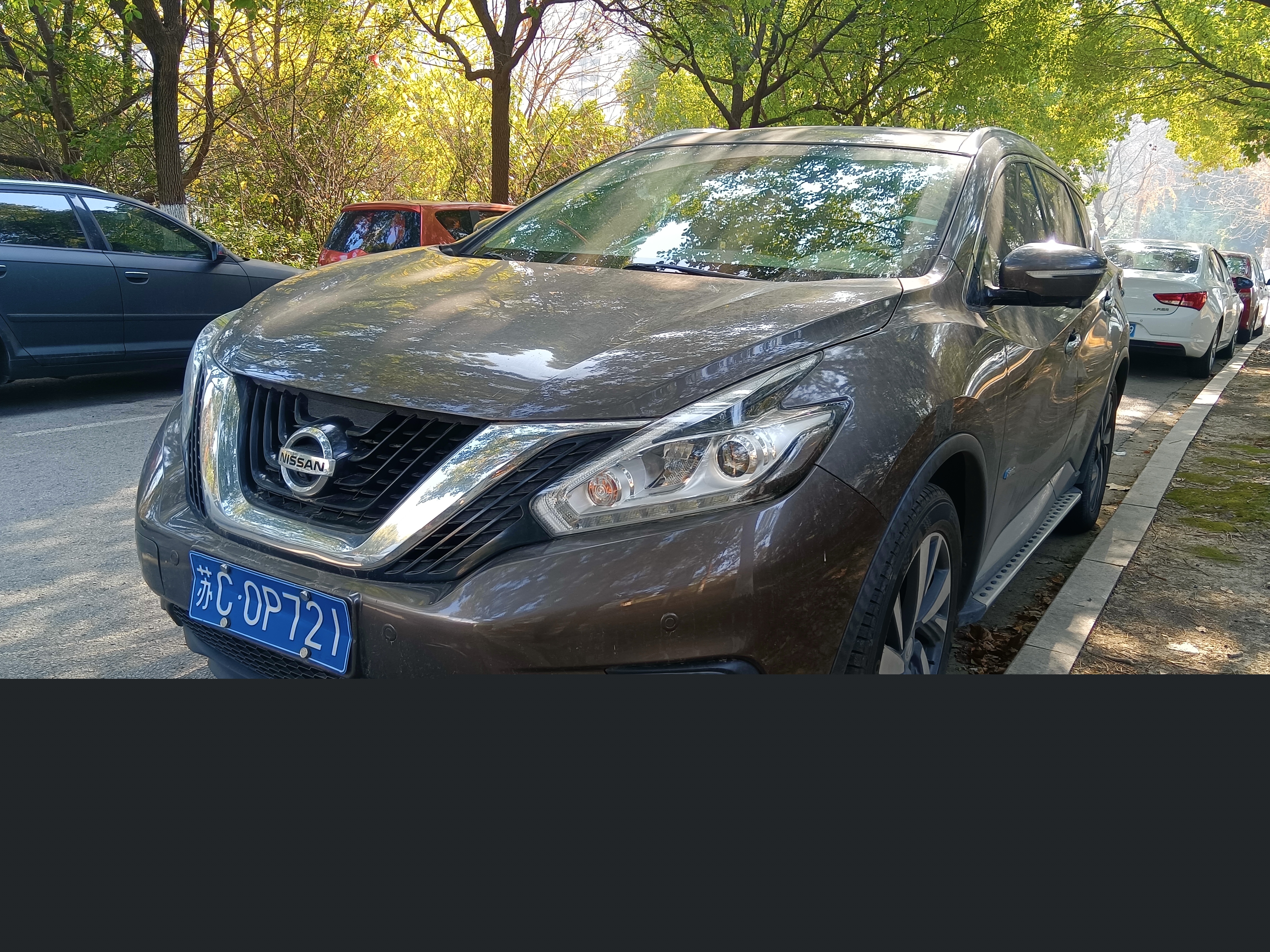 Nissan Murano 2021 汽车图片 