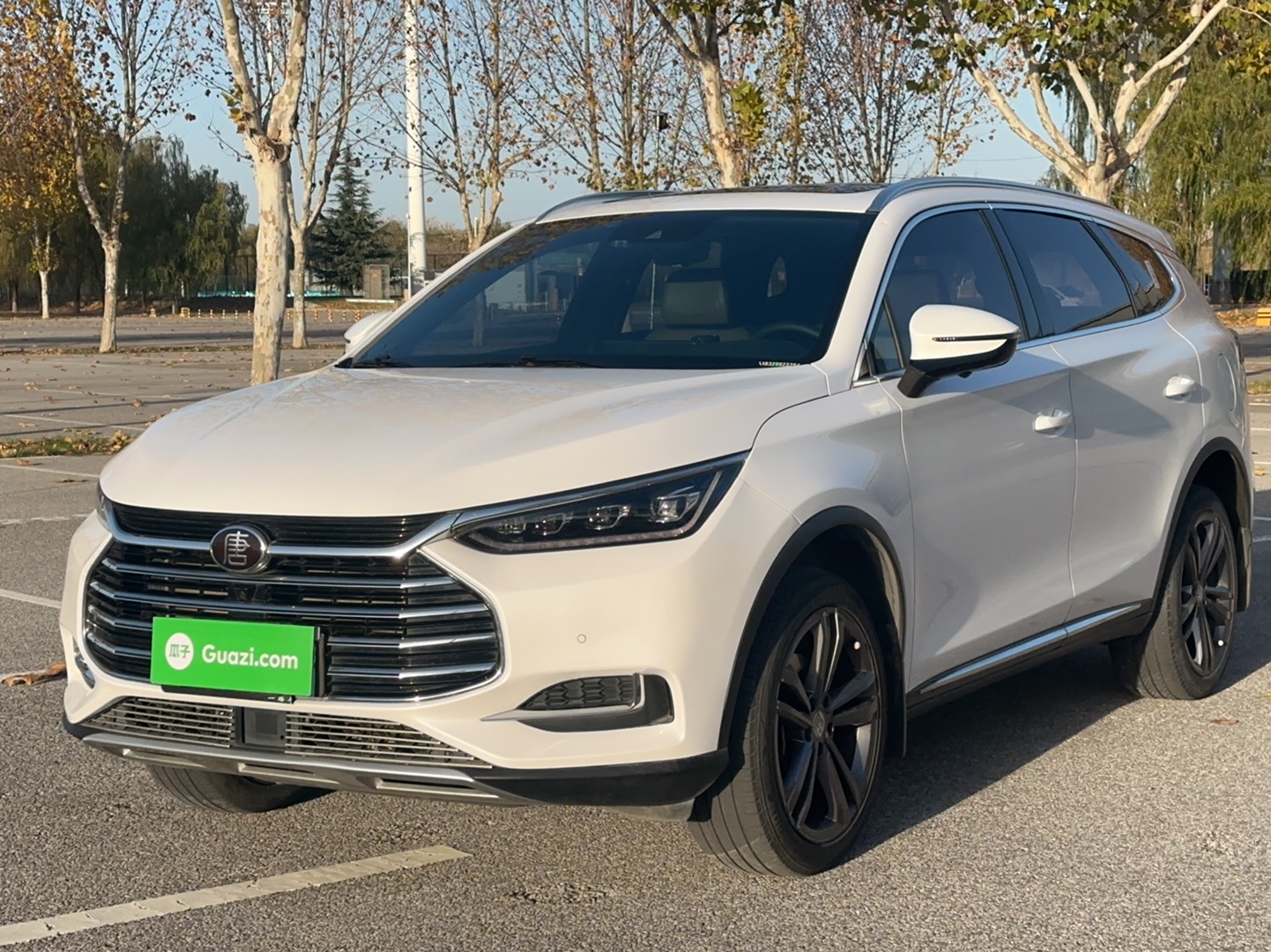 BYD Tang 2021 car image 