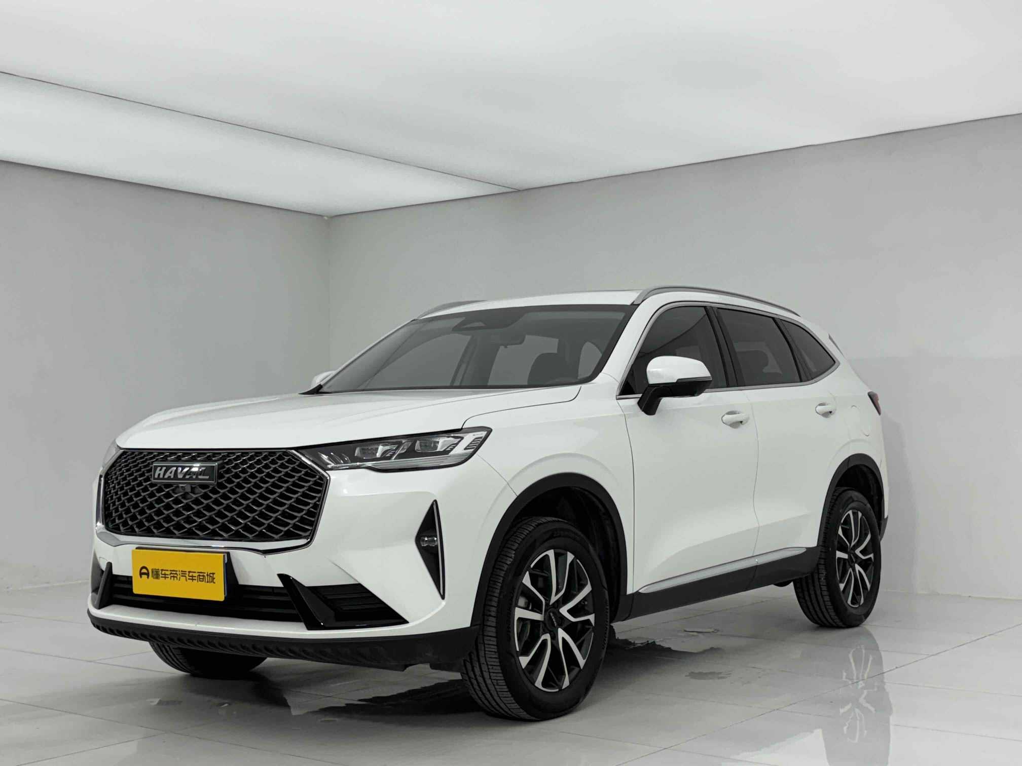 Haval H6 2022 汽车图片 