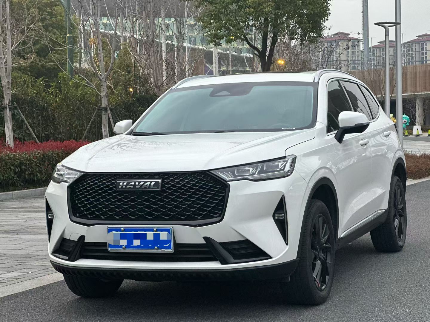 Haval H6 2022 汽车图片 