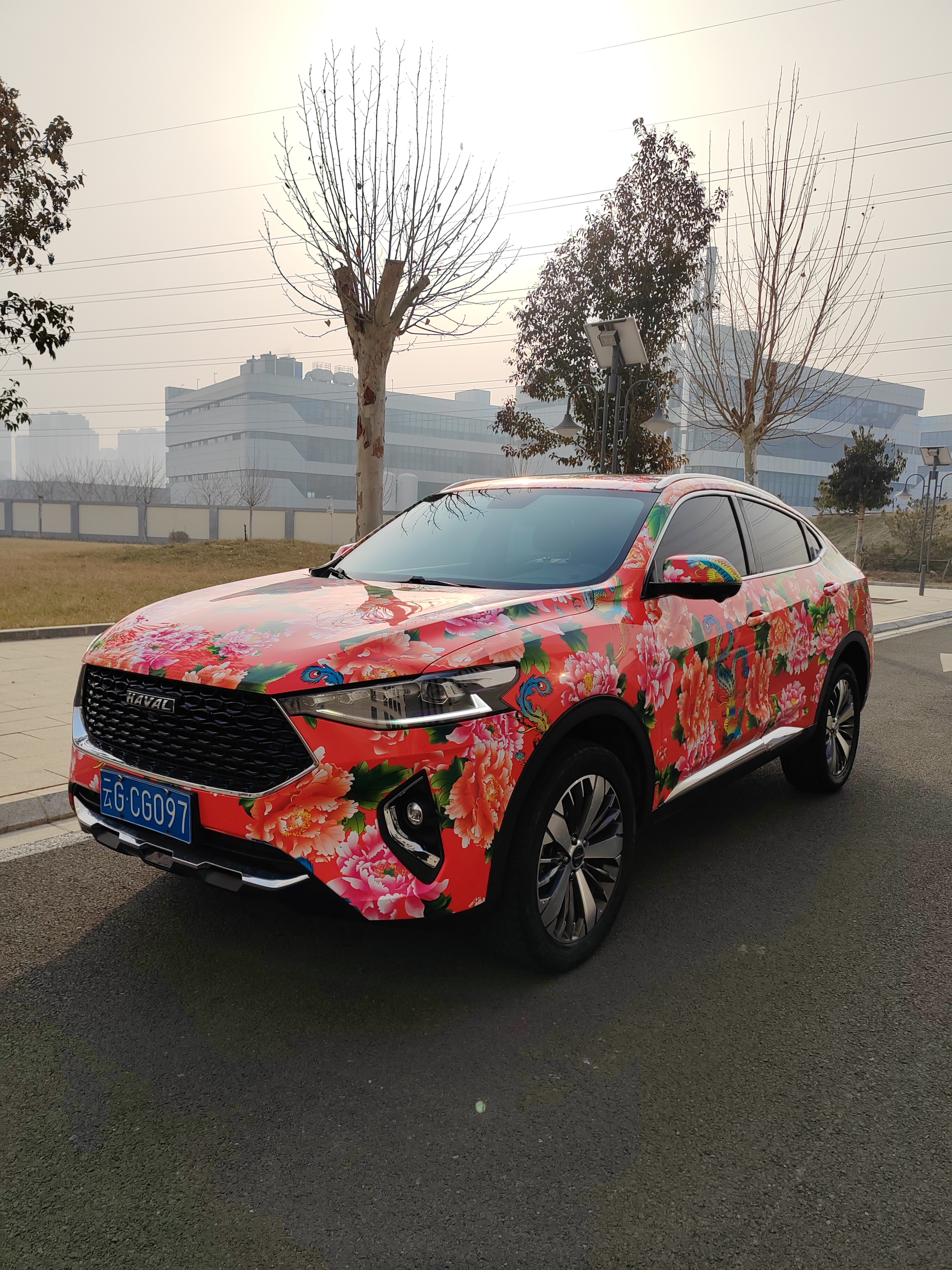 Haval F7x 2019 car image 
