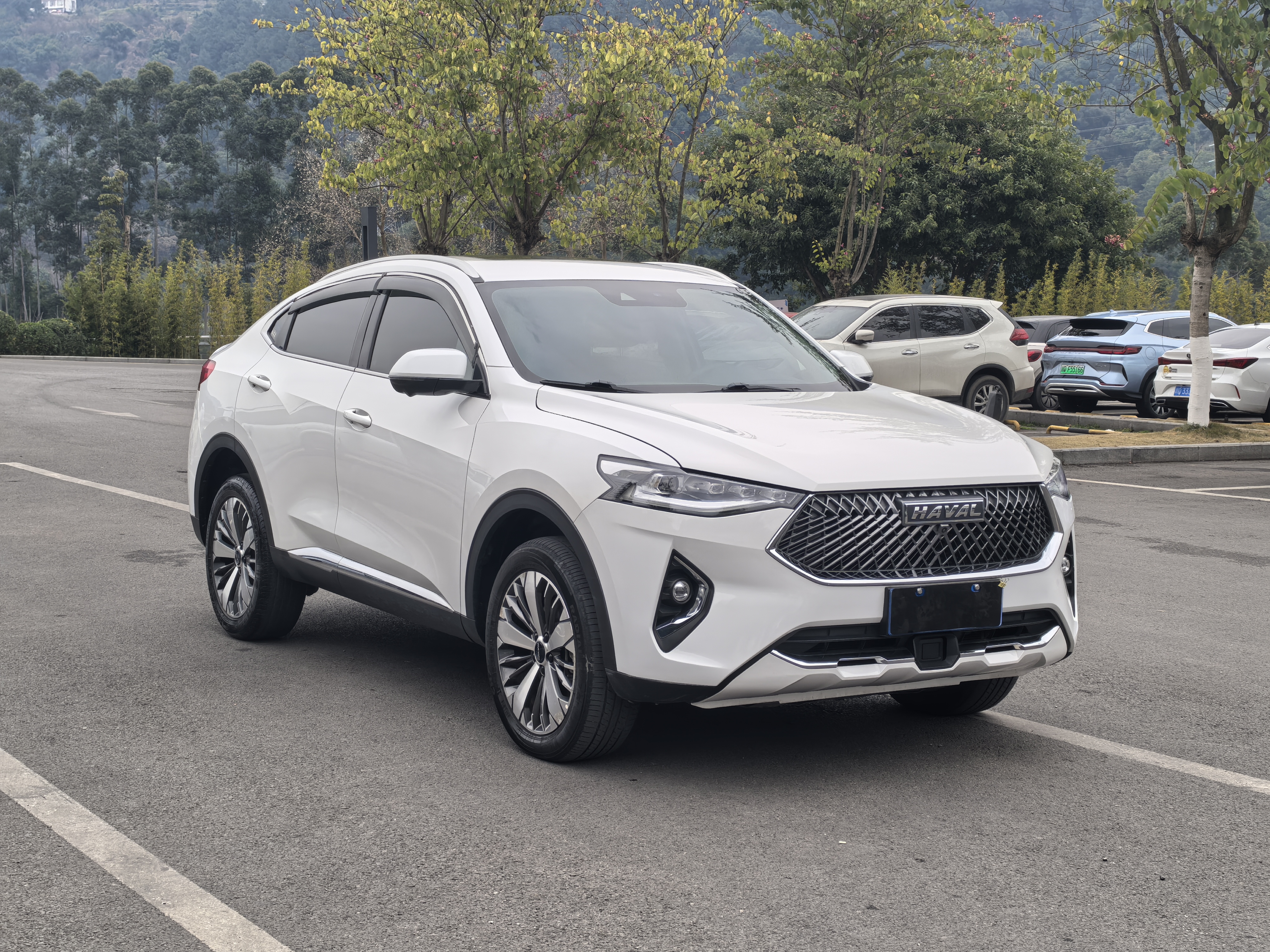 Haval F7x 2021 car image 
