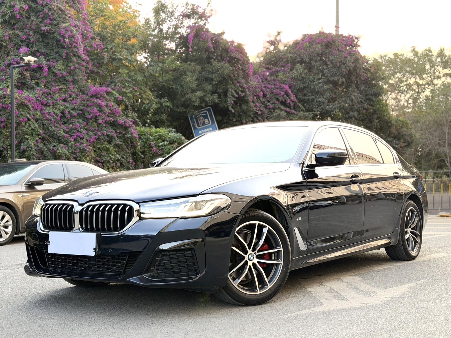 BMW 5 Series 2021 BMW 5 Series 2021 car image