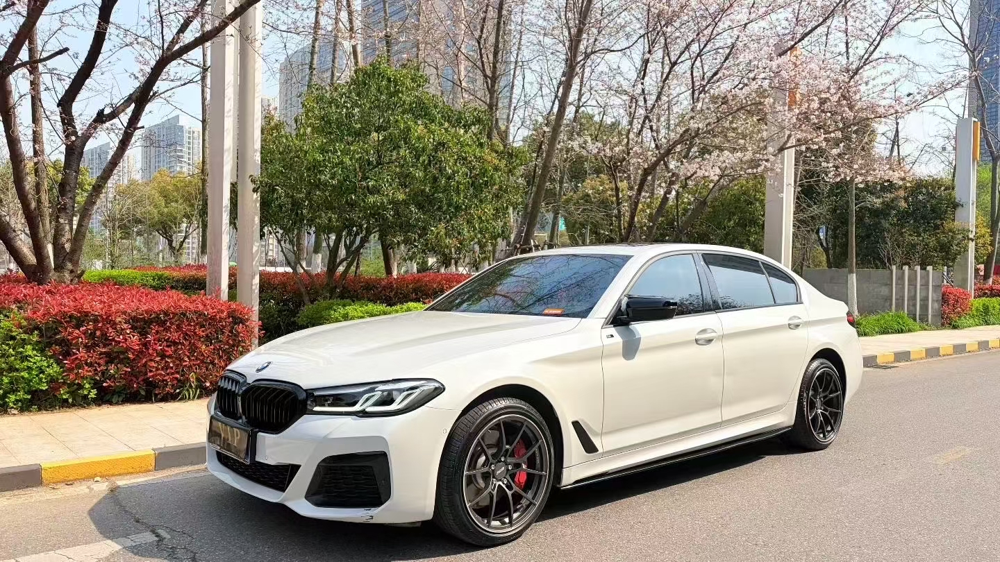 BMW 5 Series 2021 汽车图片 