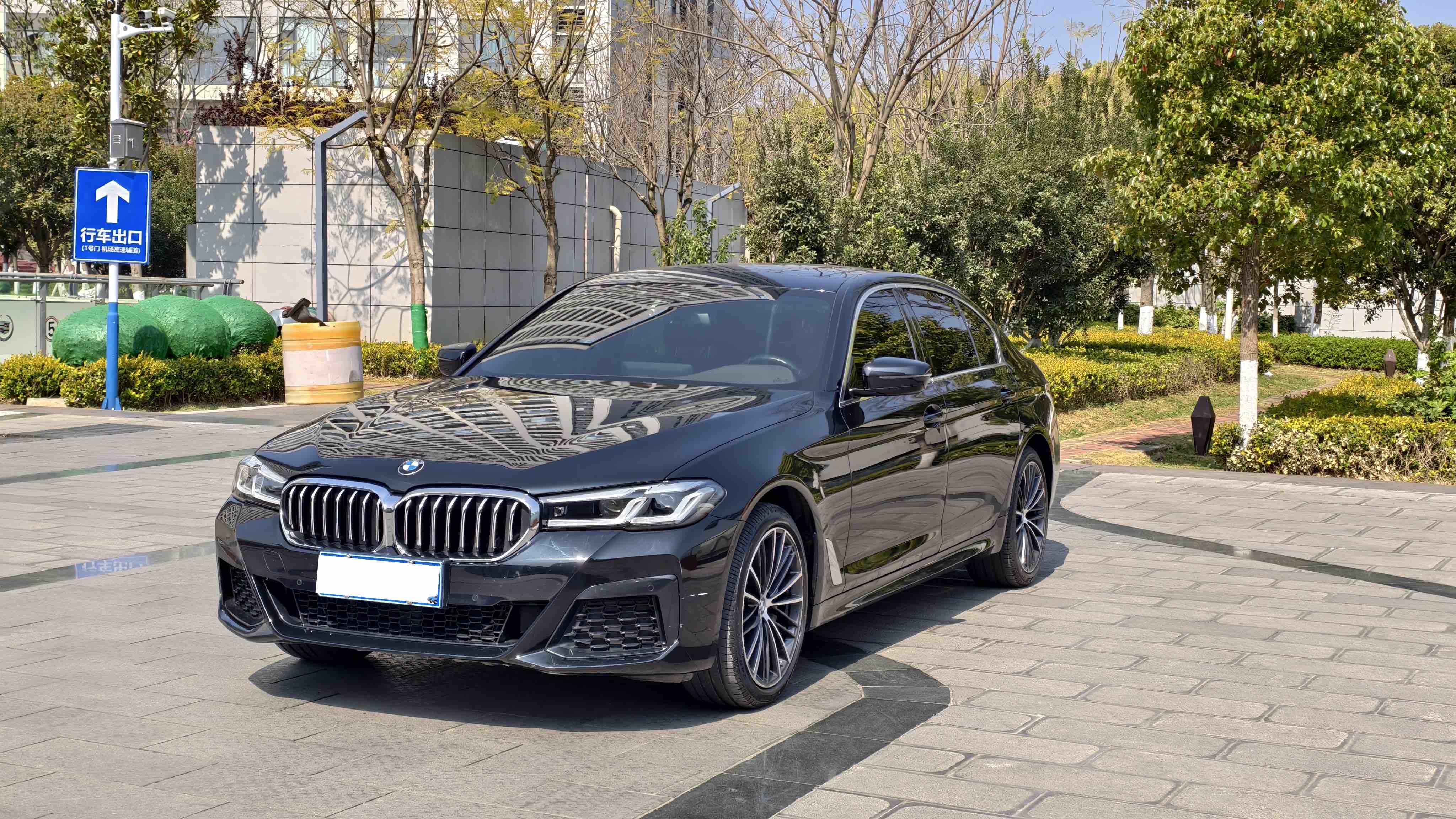 BMW 5 Series 2021 汽车图片 