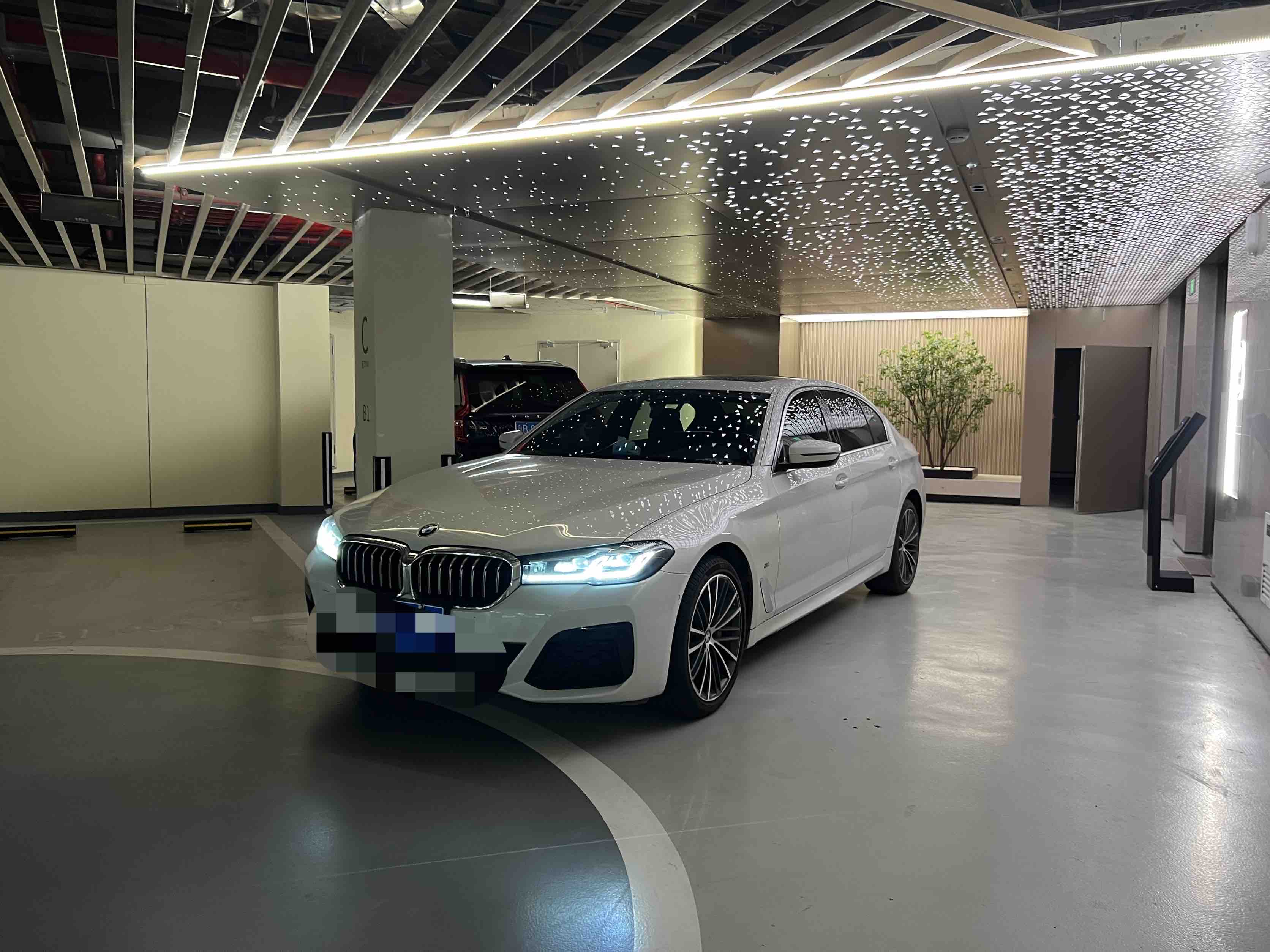 BMW 5 Series 2021 BMW 5 Series 2021 car image