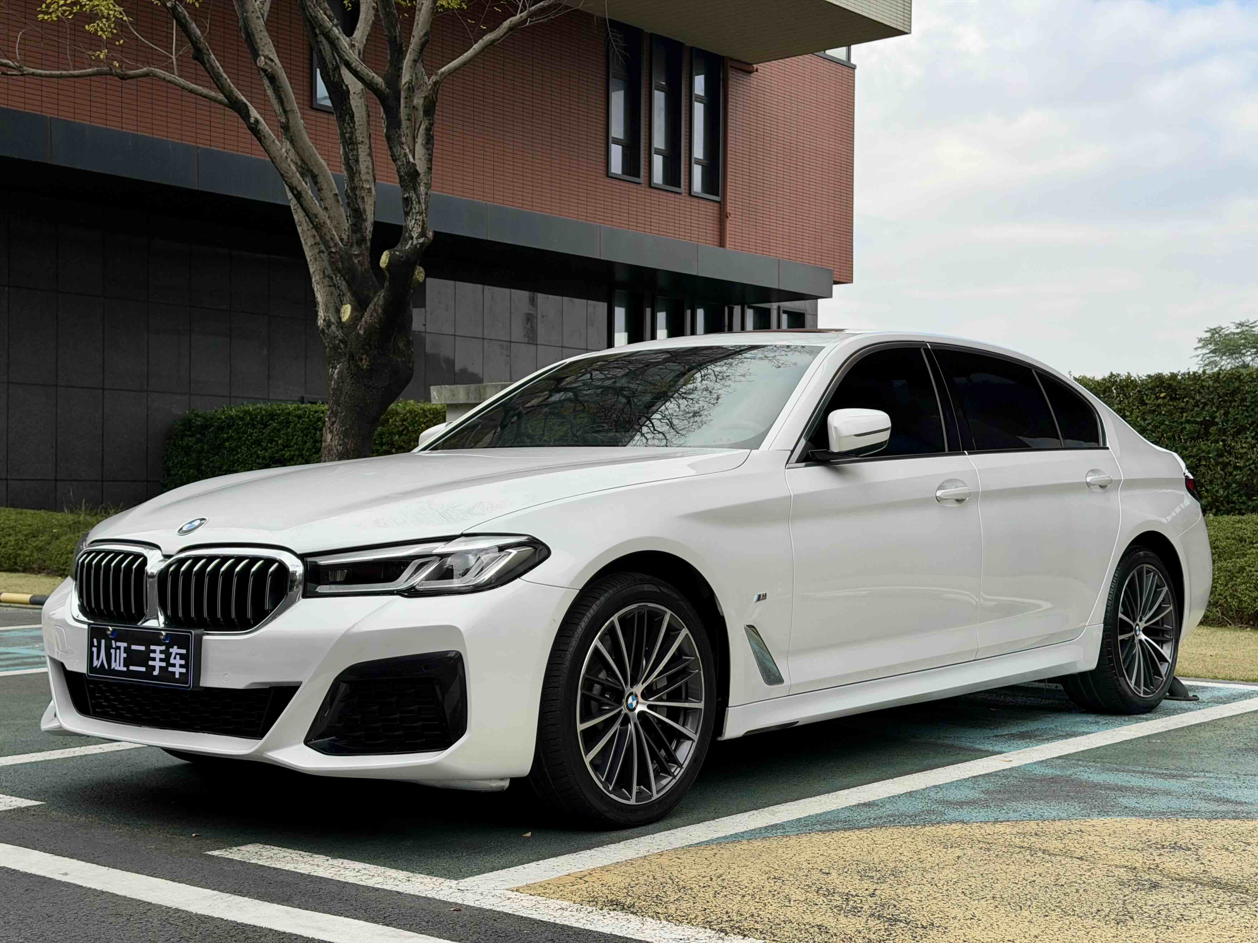 BMW 5 Series 2021 car image 