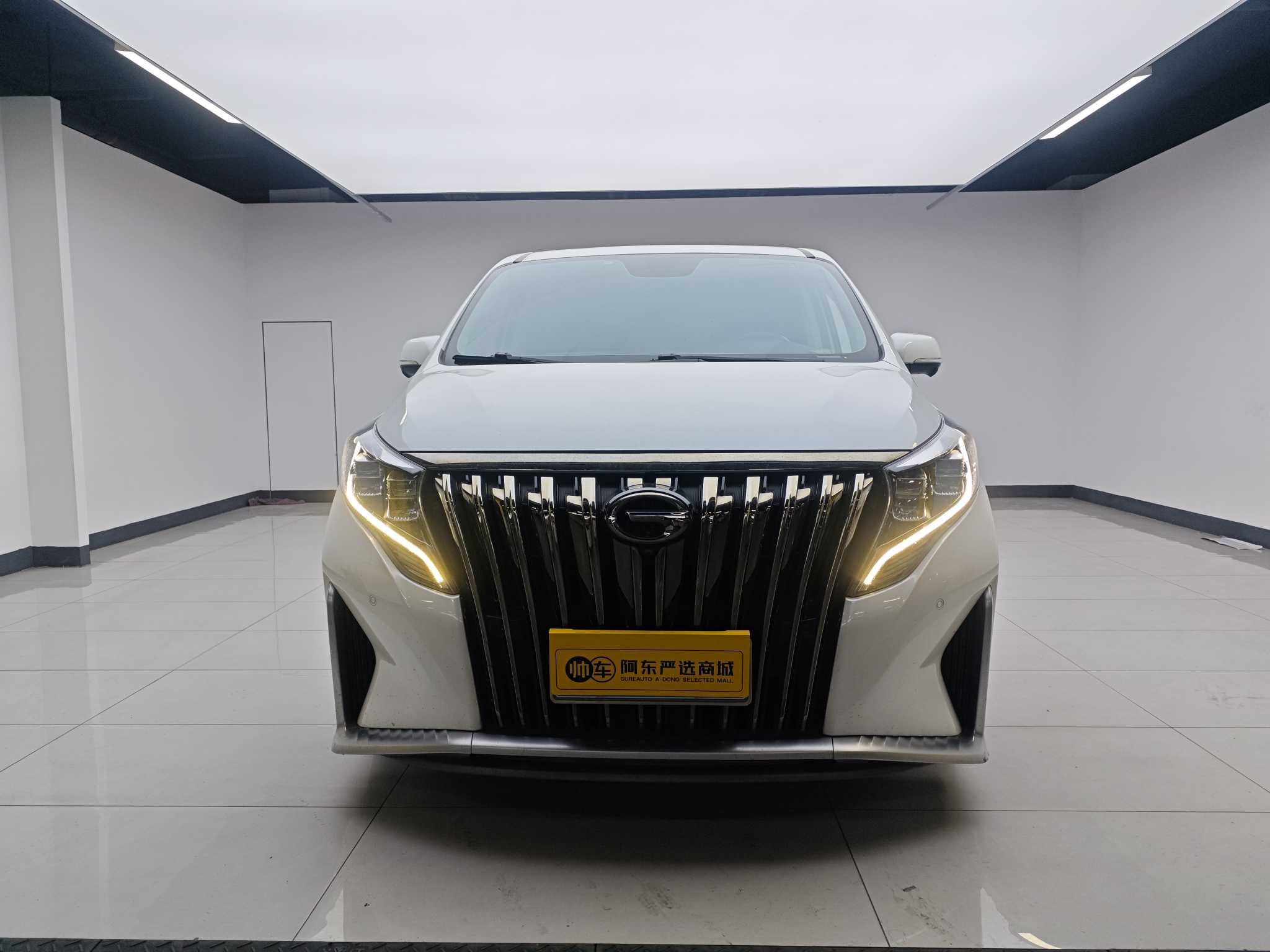 GAC Trumpchi M8 2022 汽车图片 