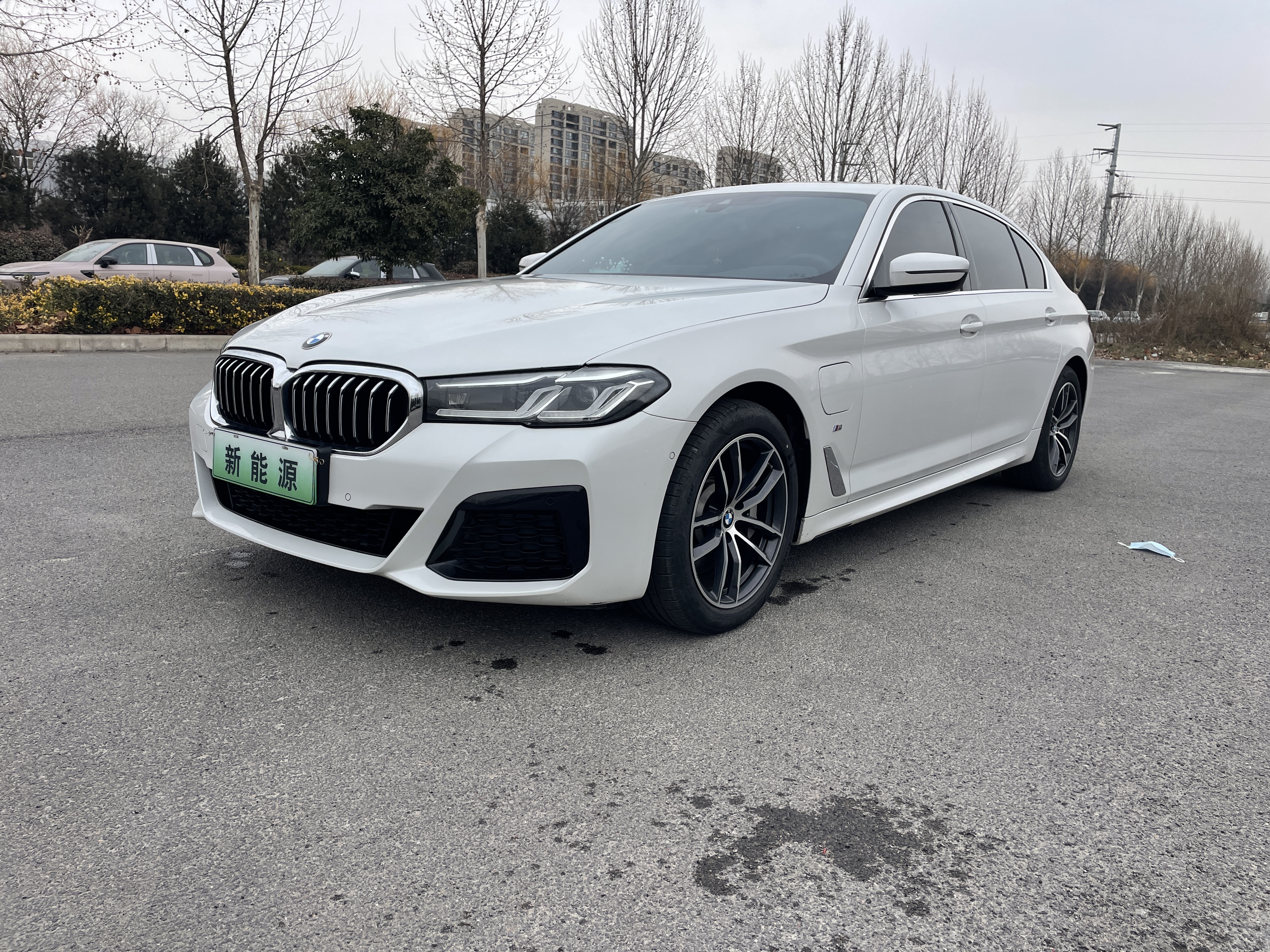 BMW 5 Series New Energy 2021 car image 