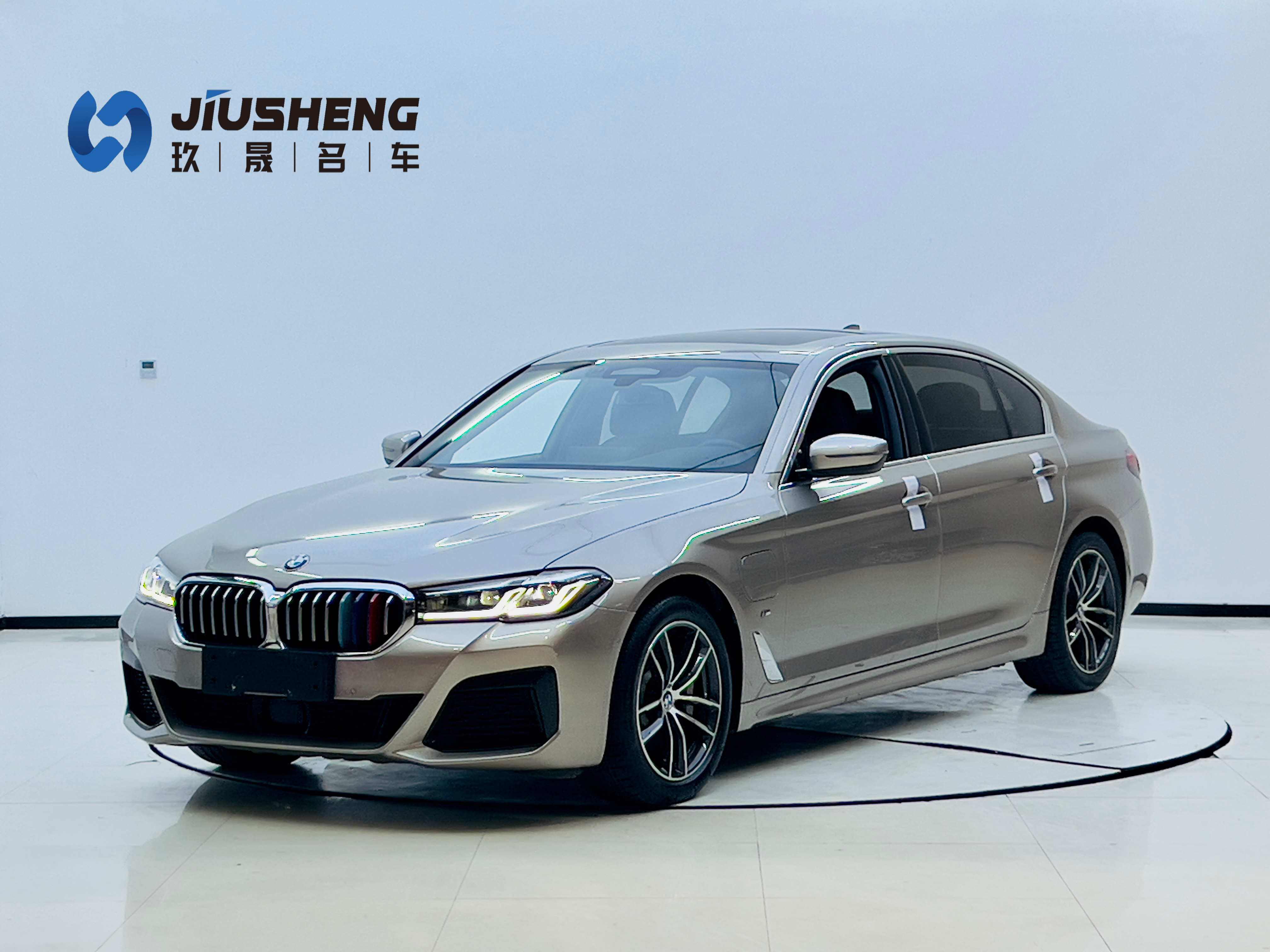 BMW 5 Series New Energy 2021 car image 