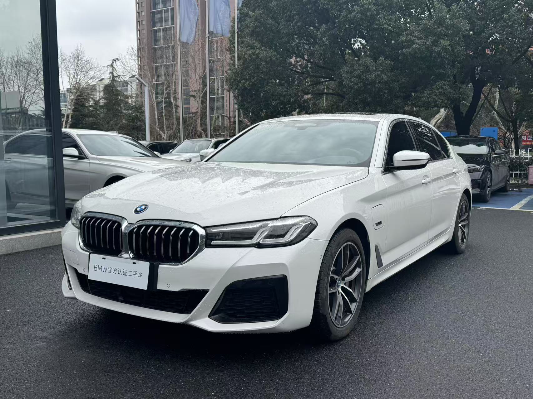 BMW 5 Series New Energy 2022 car image 