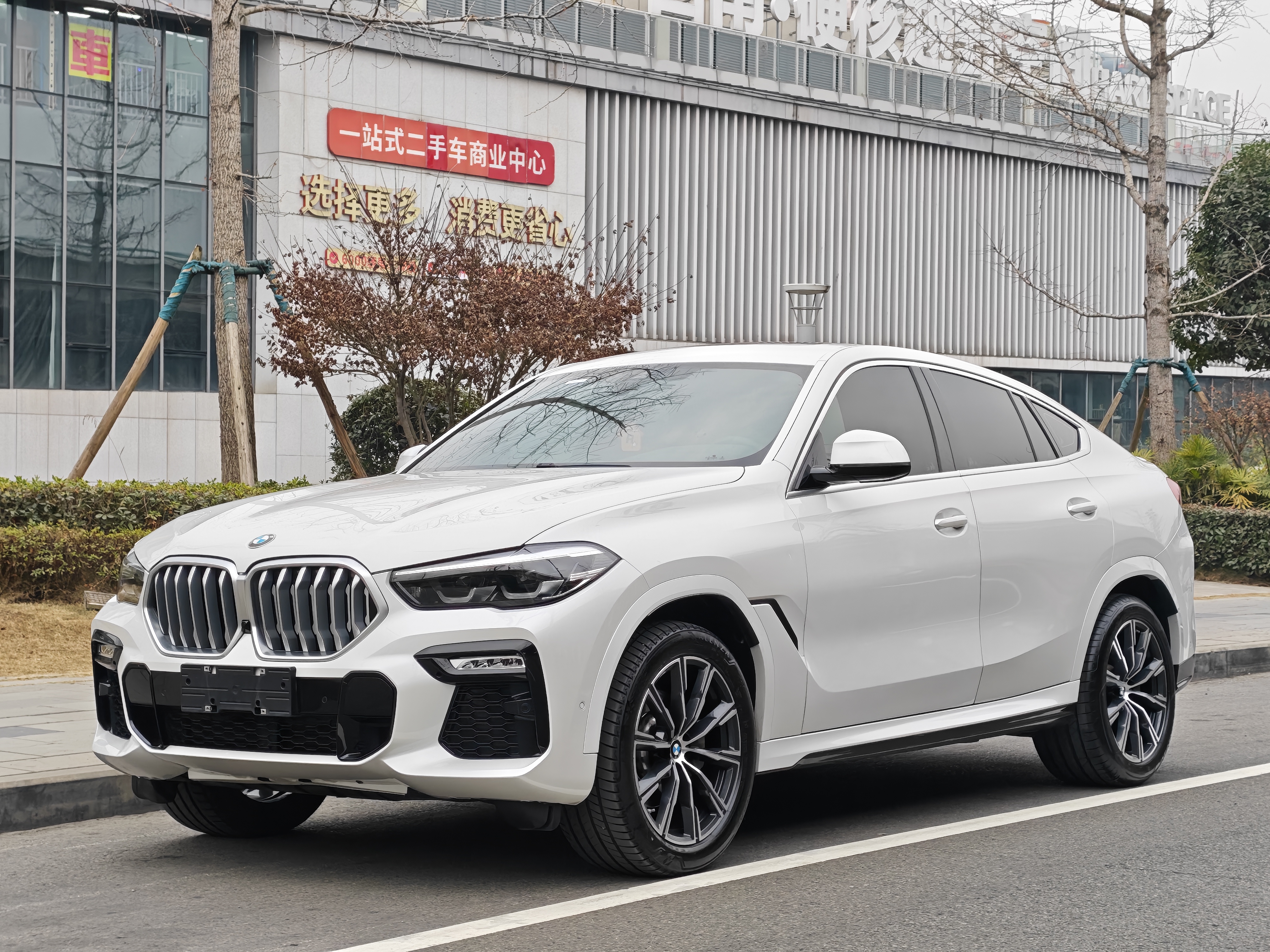 BMW X6 2021 car image 