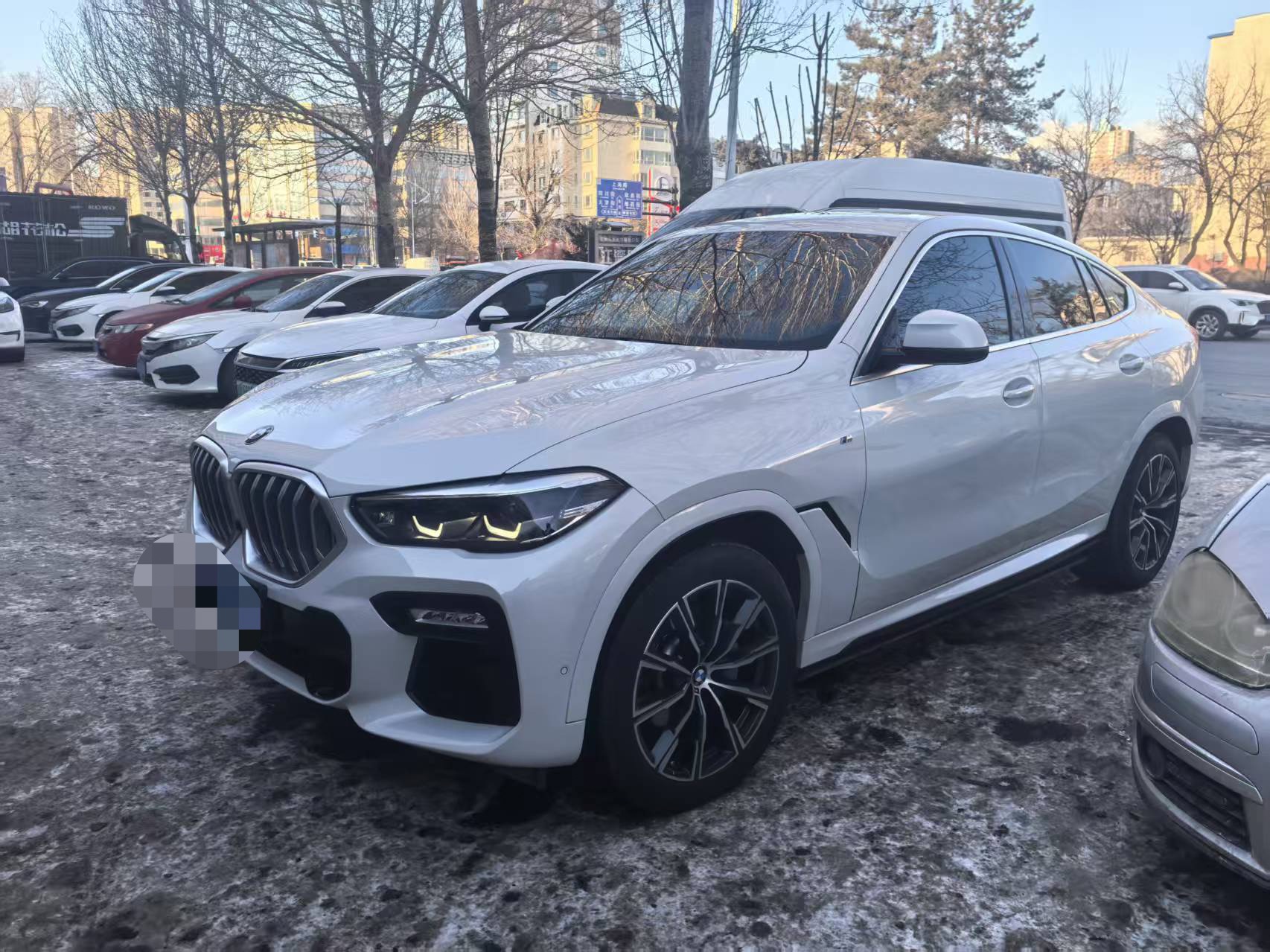 BMW X6 2021 car image 