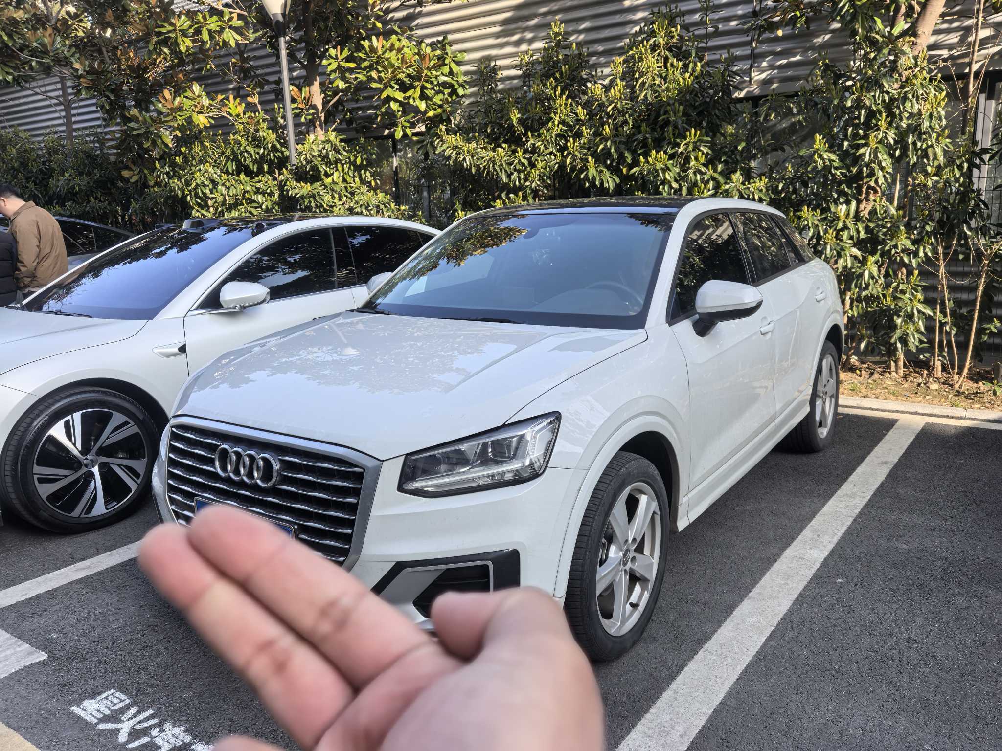 Audi Q2L 2021 汽车图片 