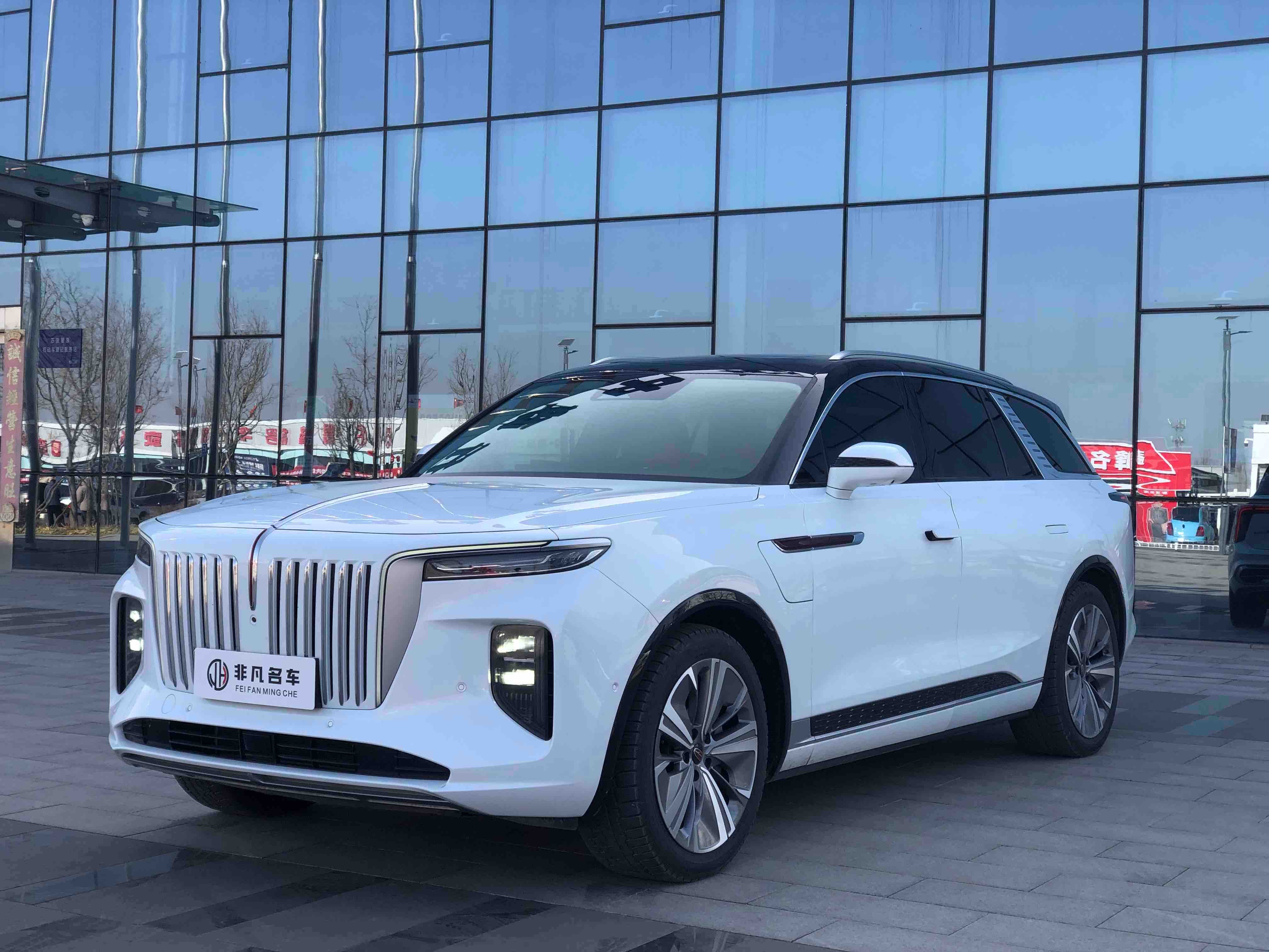 HongQi E-HS9 2021 car image 