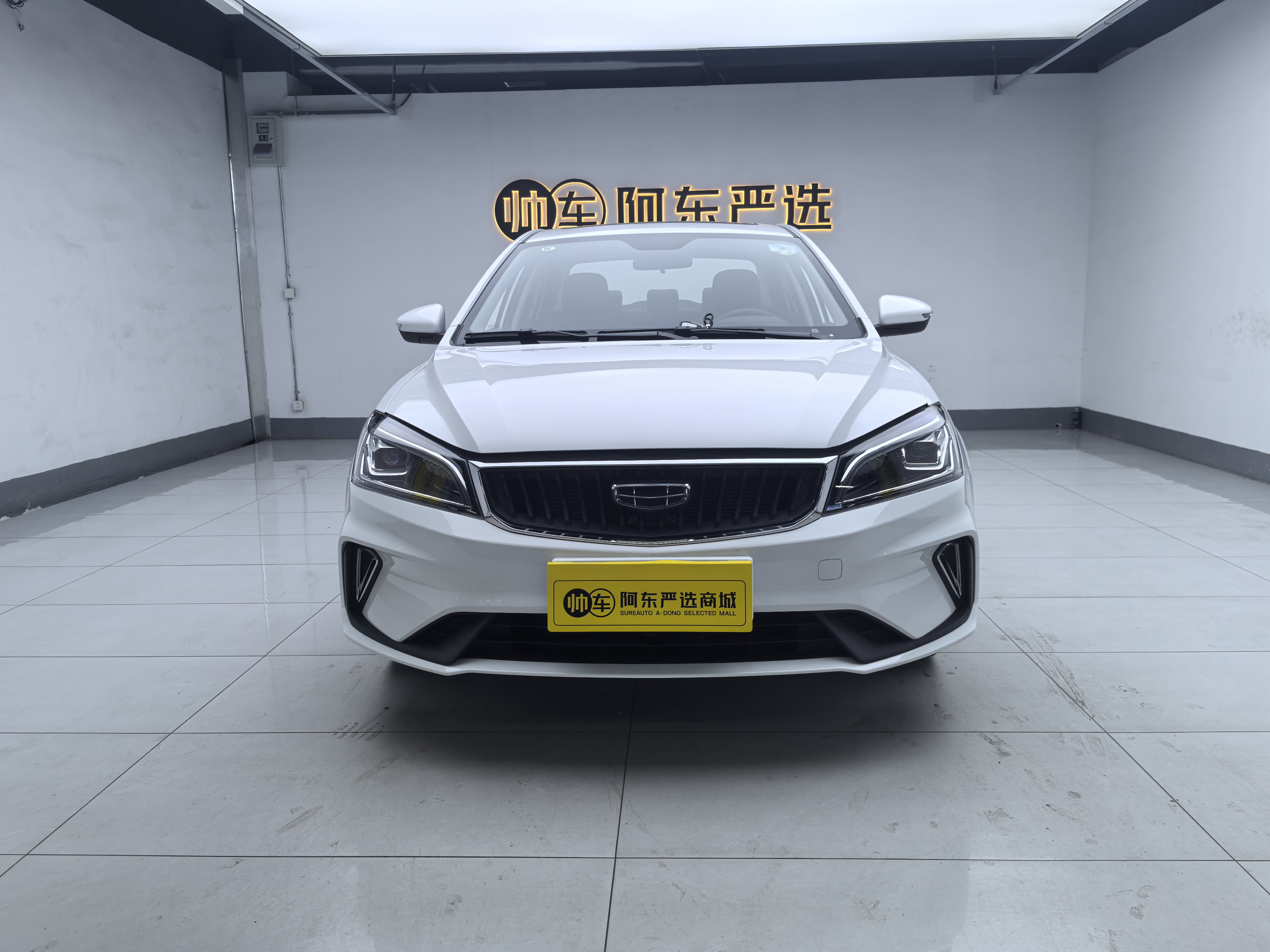 Emgrand 2021 Emgrand 2021 car image