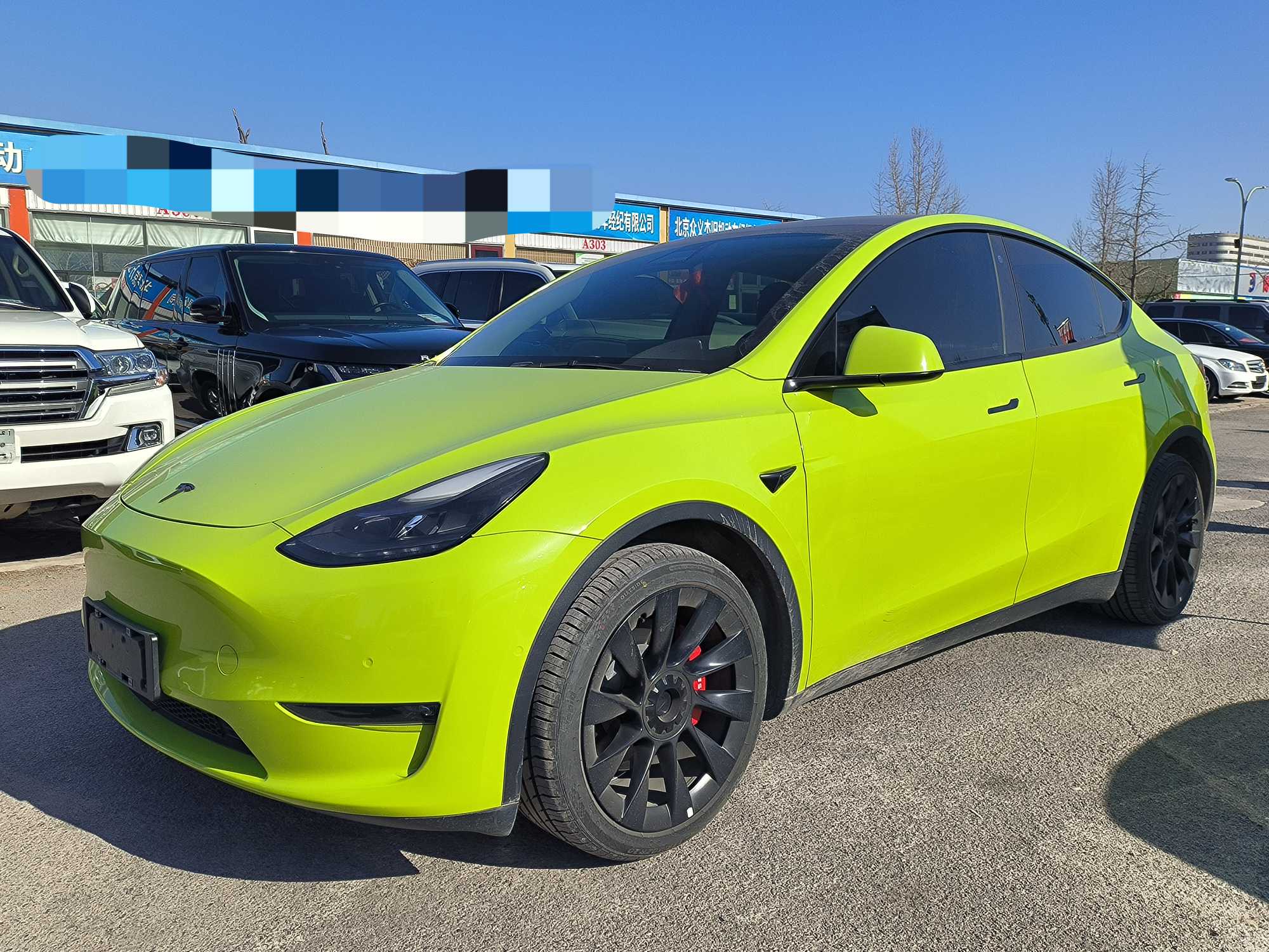 Tesla Model Y 2021 Tesla Model Y 2021 car image