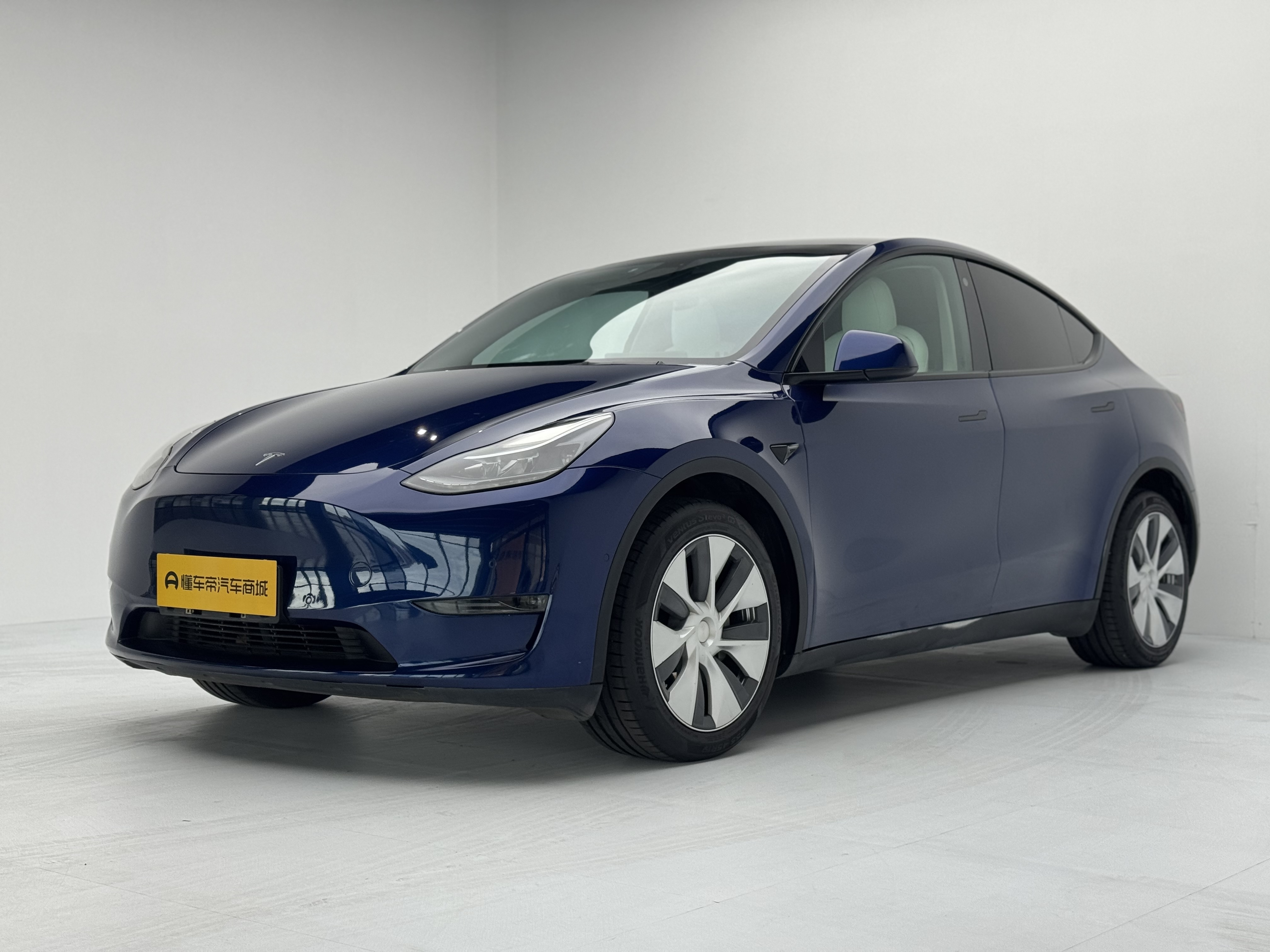 Tesla Model Y 2021 Tesla Model Y 2021 car image