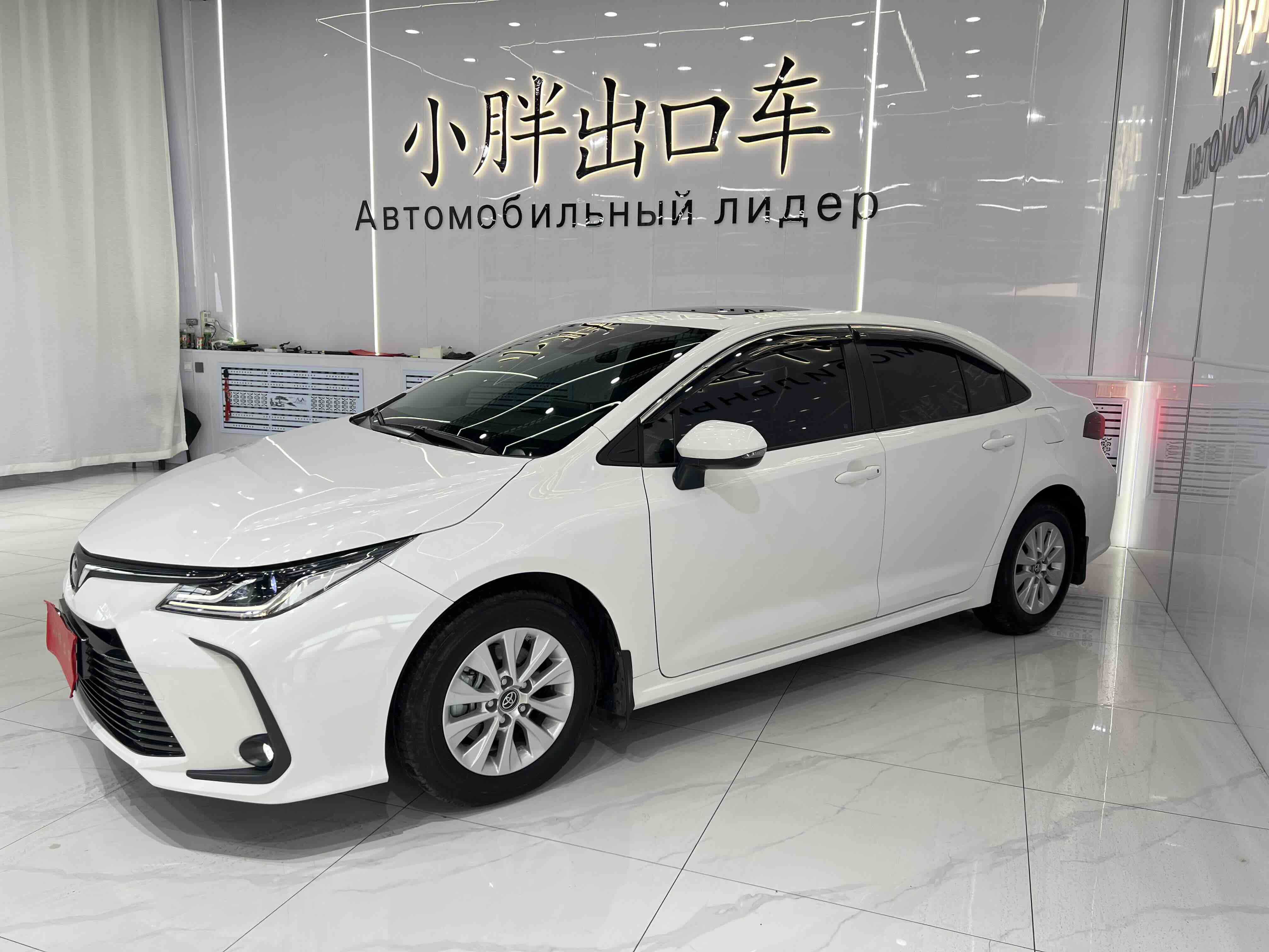 Corolla 2023 imagem de carro 