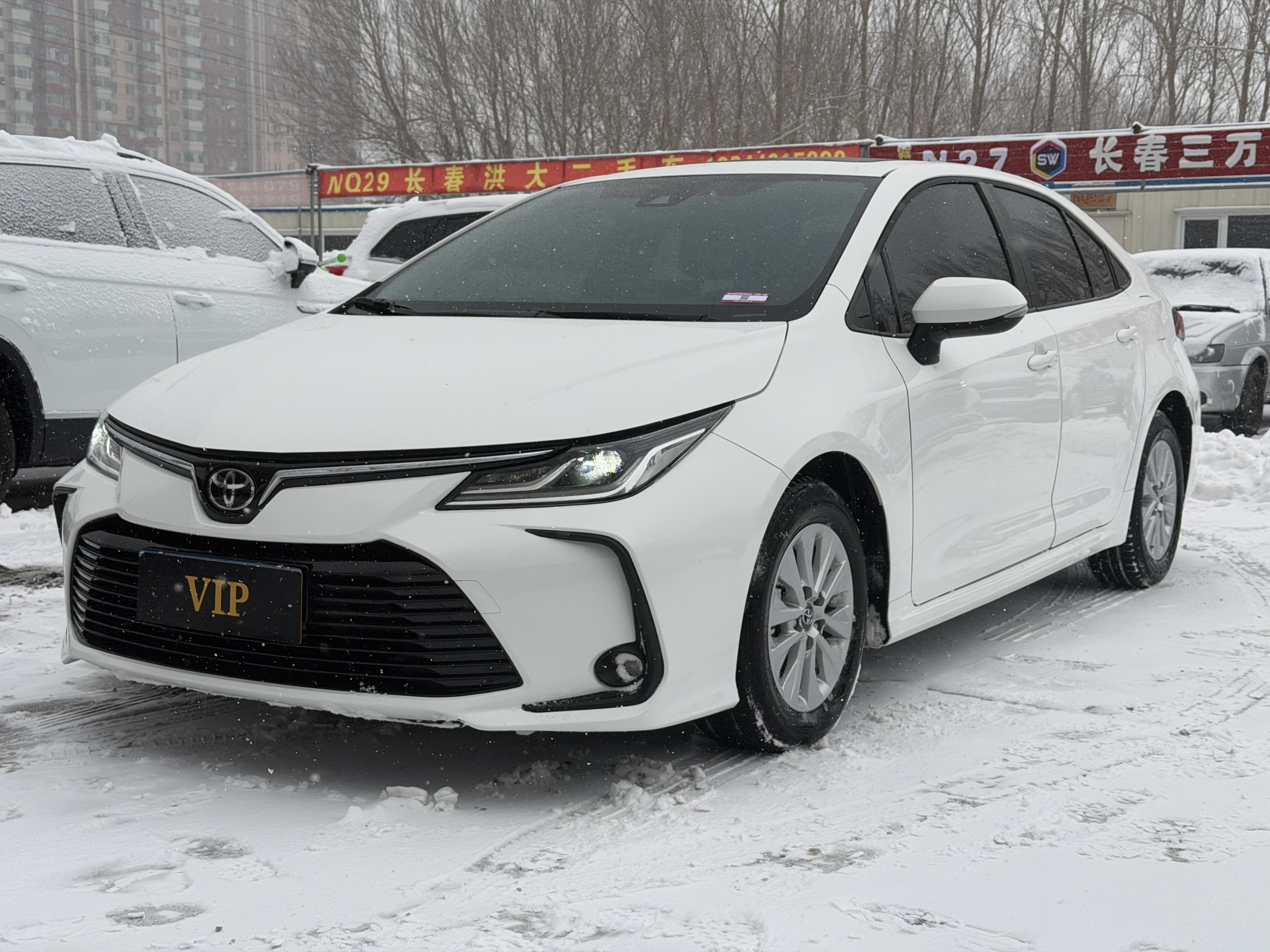 Toyota Corolla 2023 car image 