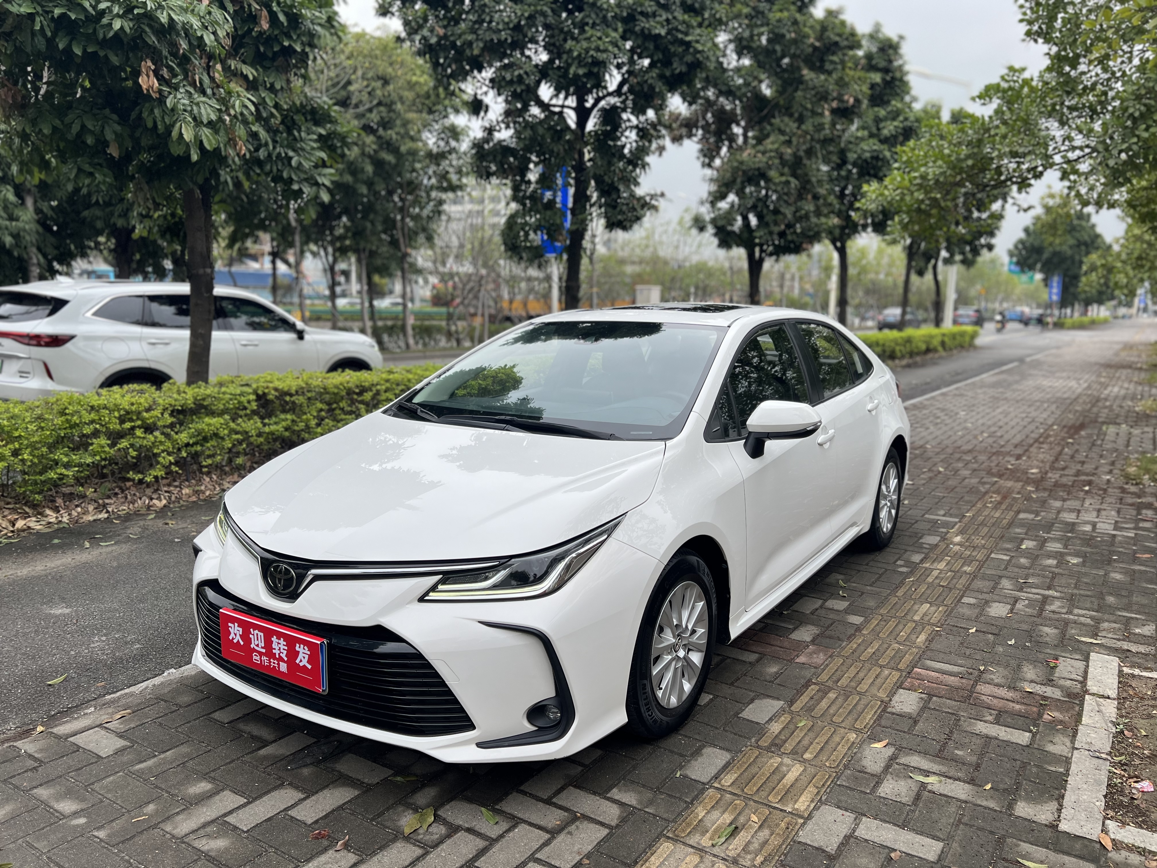 Corolla 2021 car image 