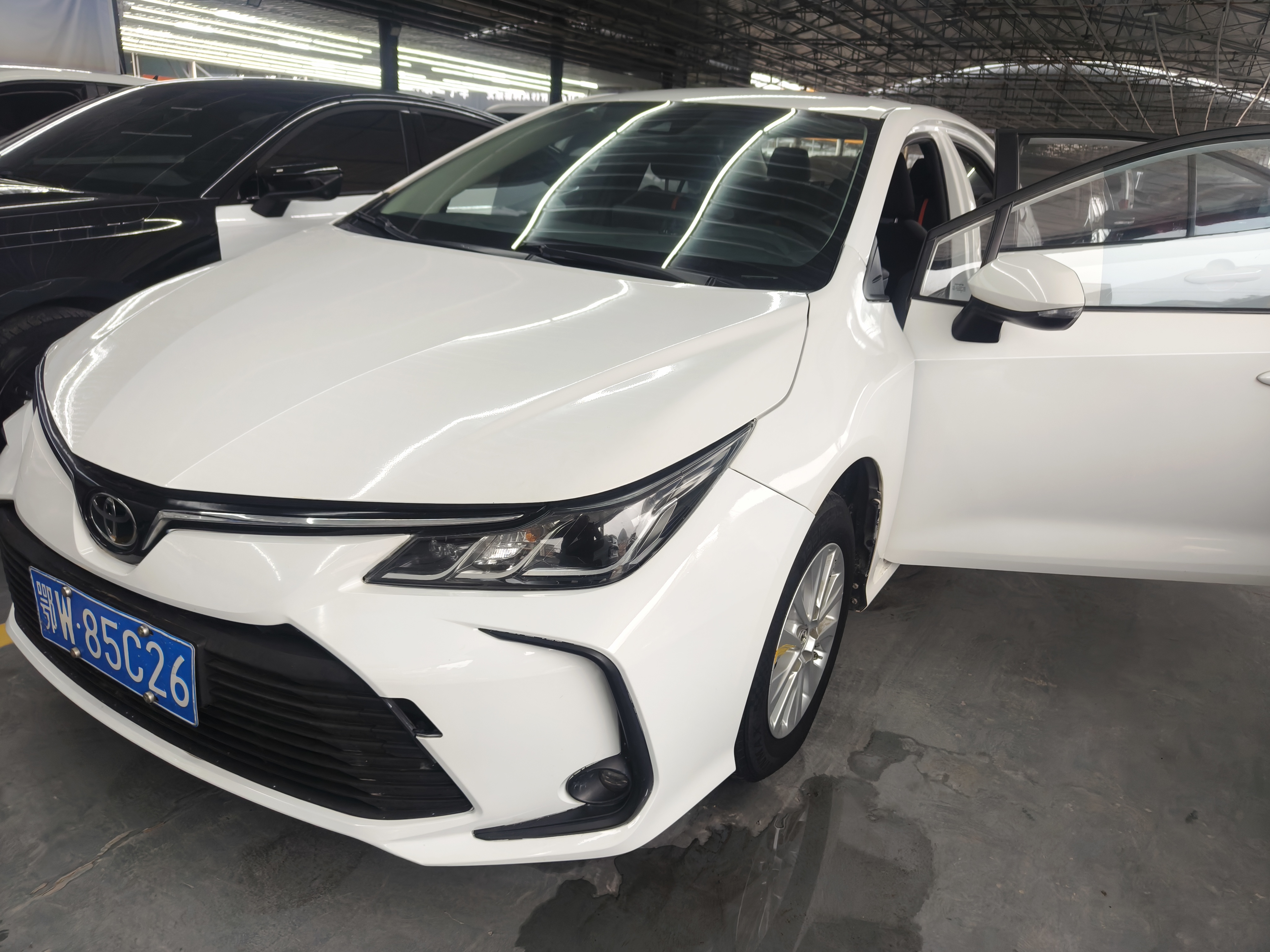 Toyota Corolla 2023 Toyota Corolla 2023 car image