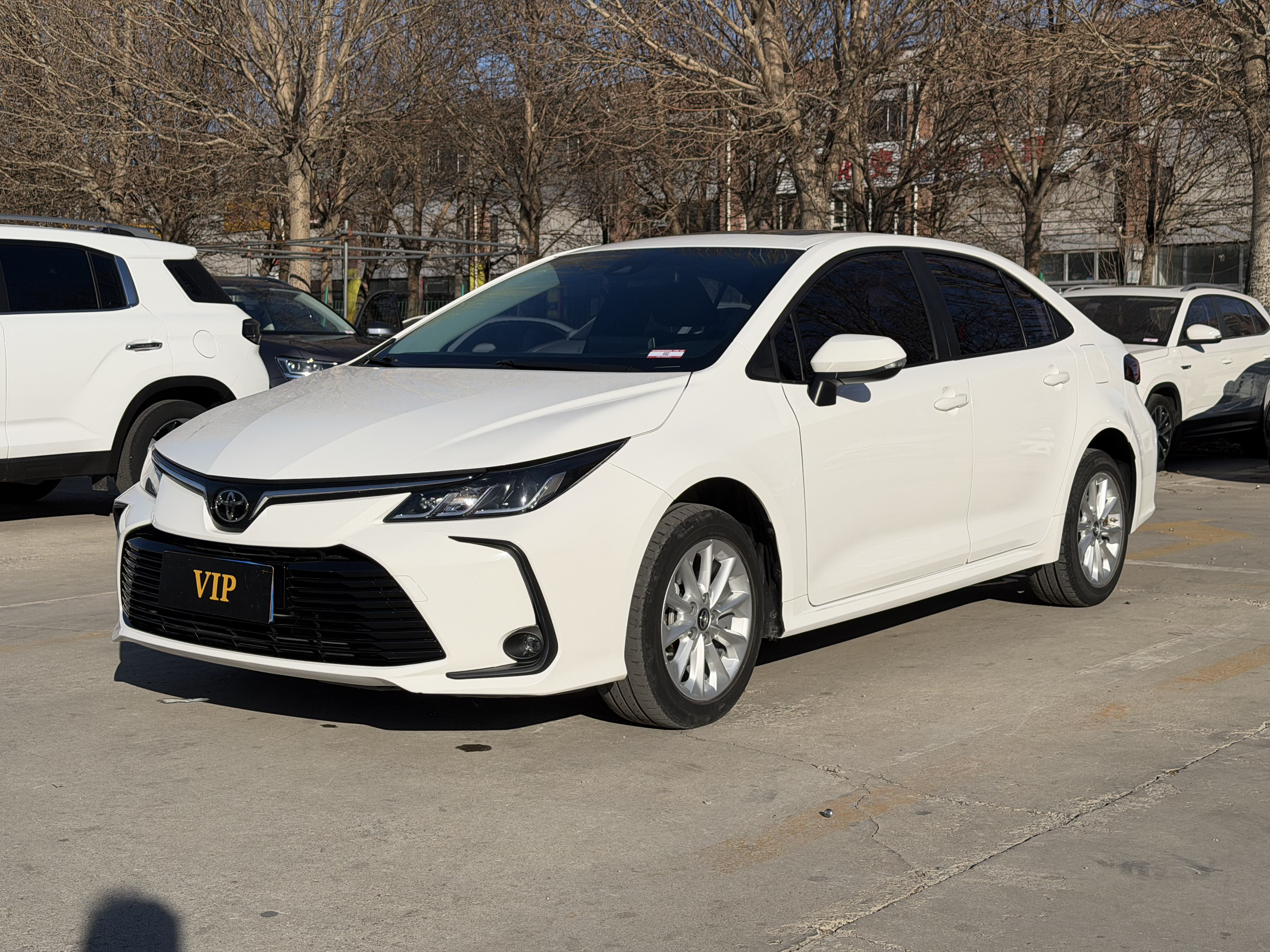 Toyota Corolla 2023 Toyota Corolla 2023 car image