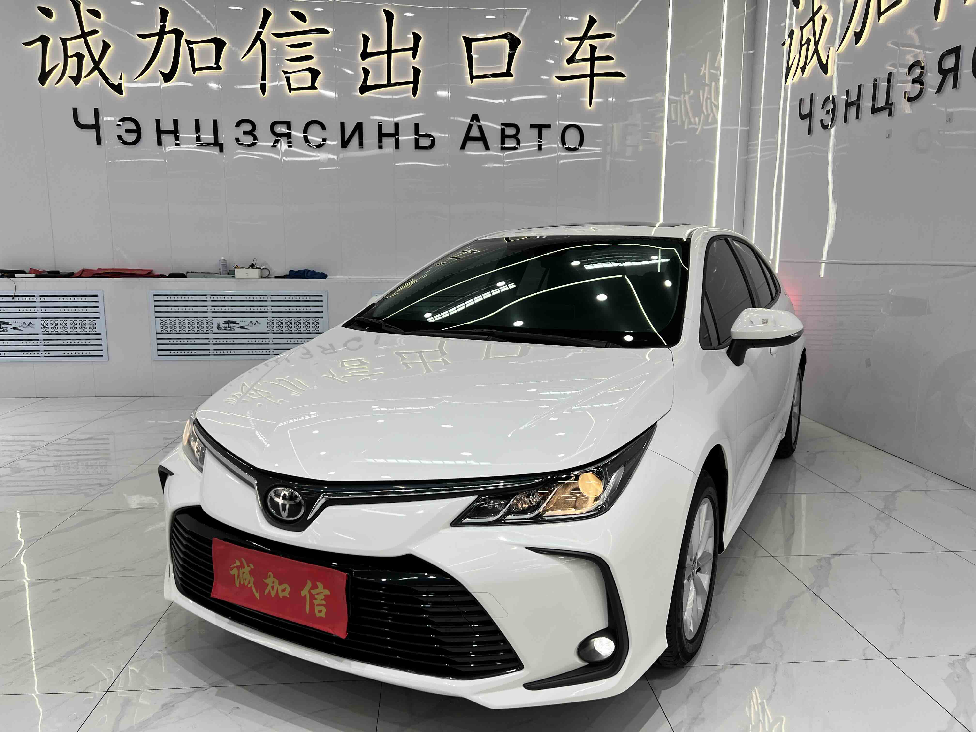 Corolla 2023 car image 