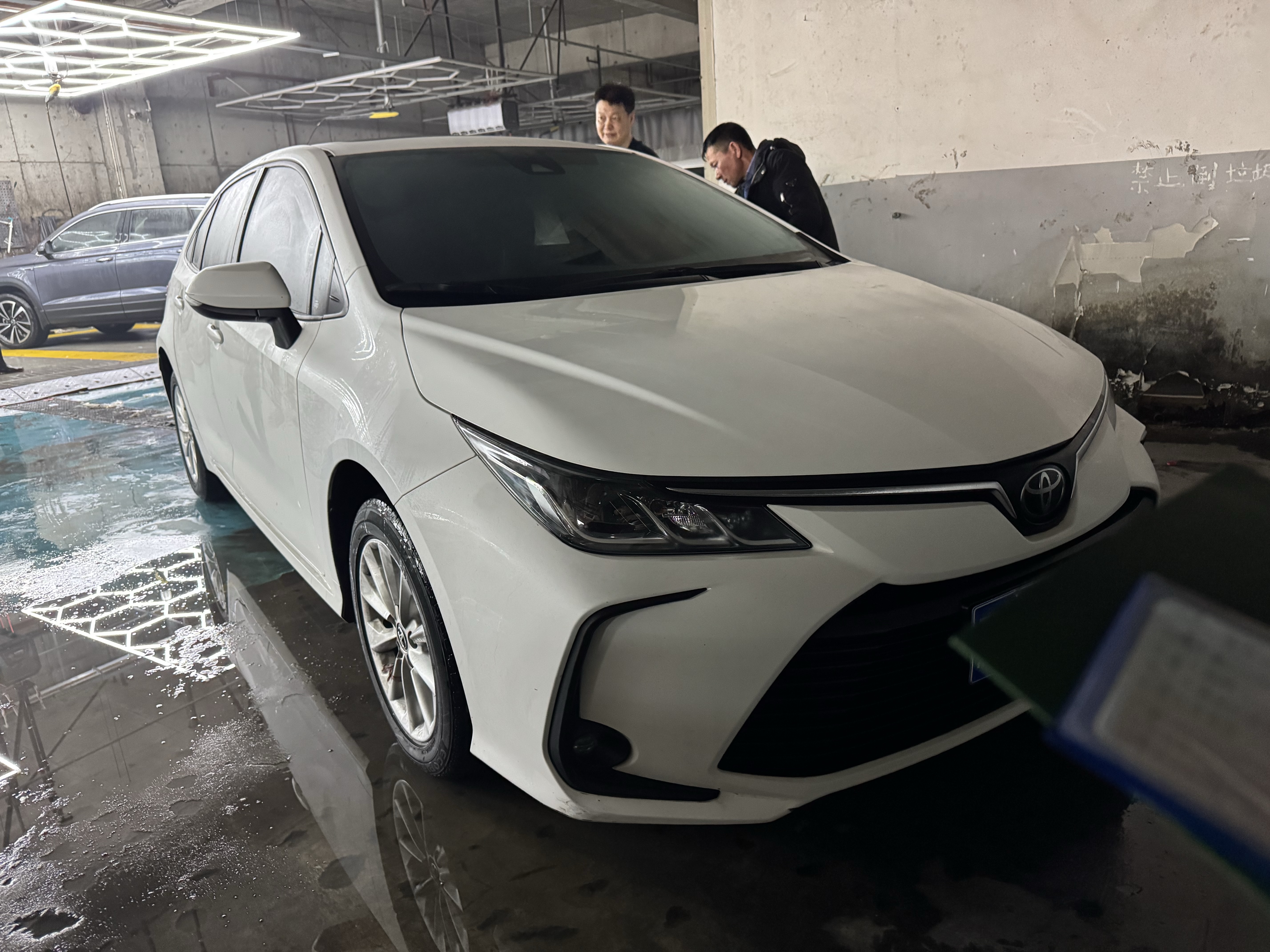 Corolla 2021 car image 