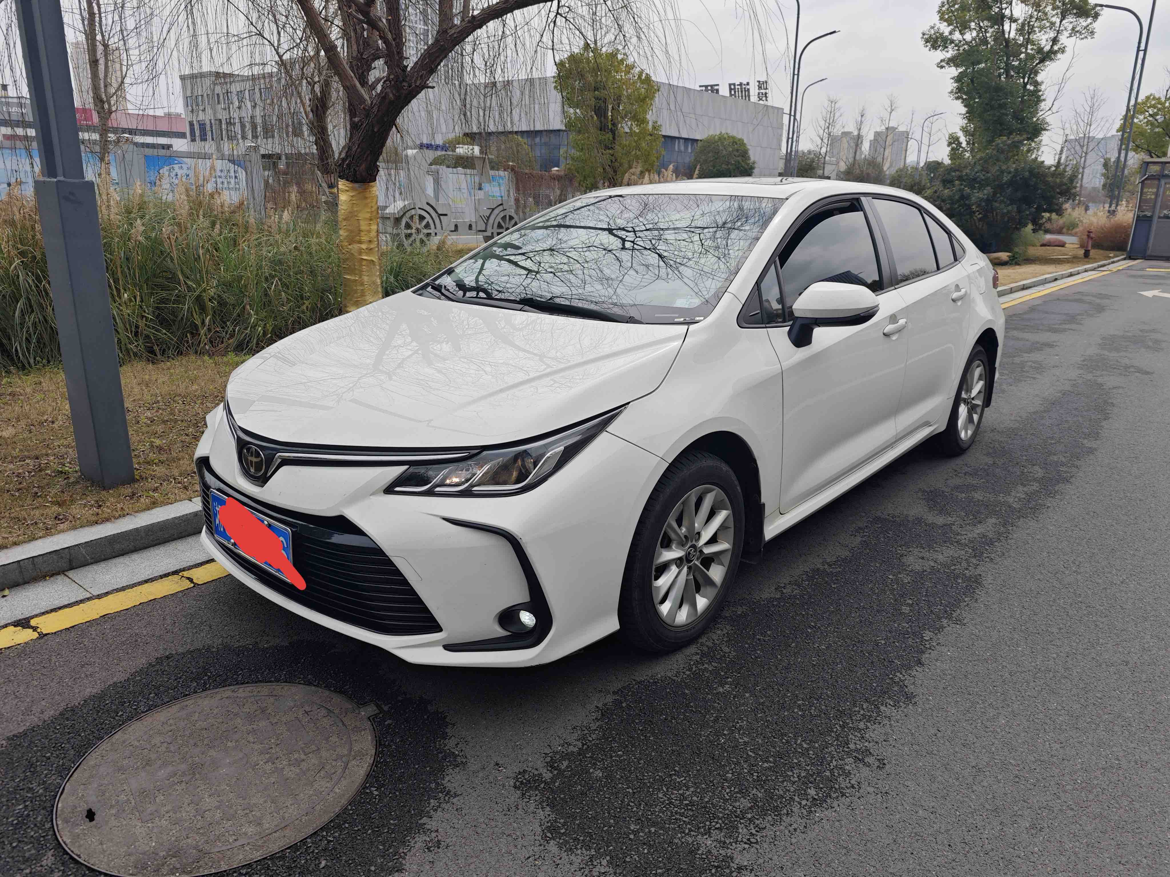 Toyota Corolla 2023 Toyota Corolla 2023 car image