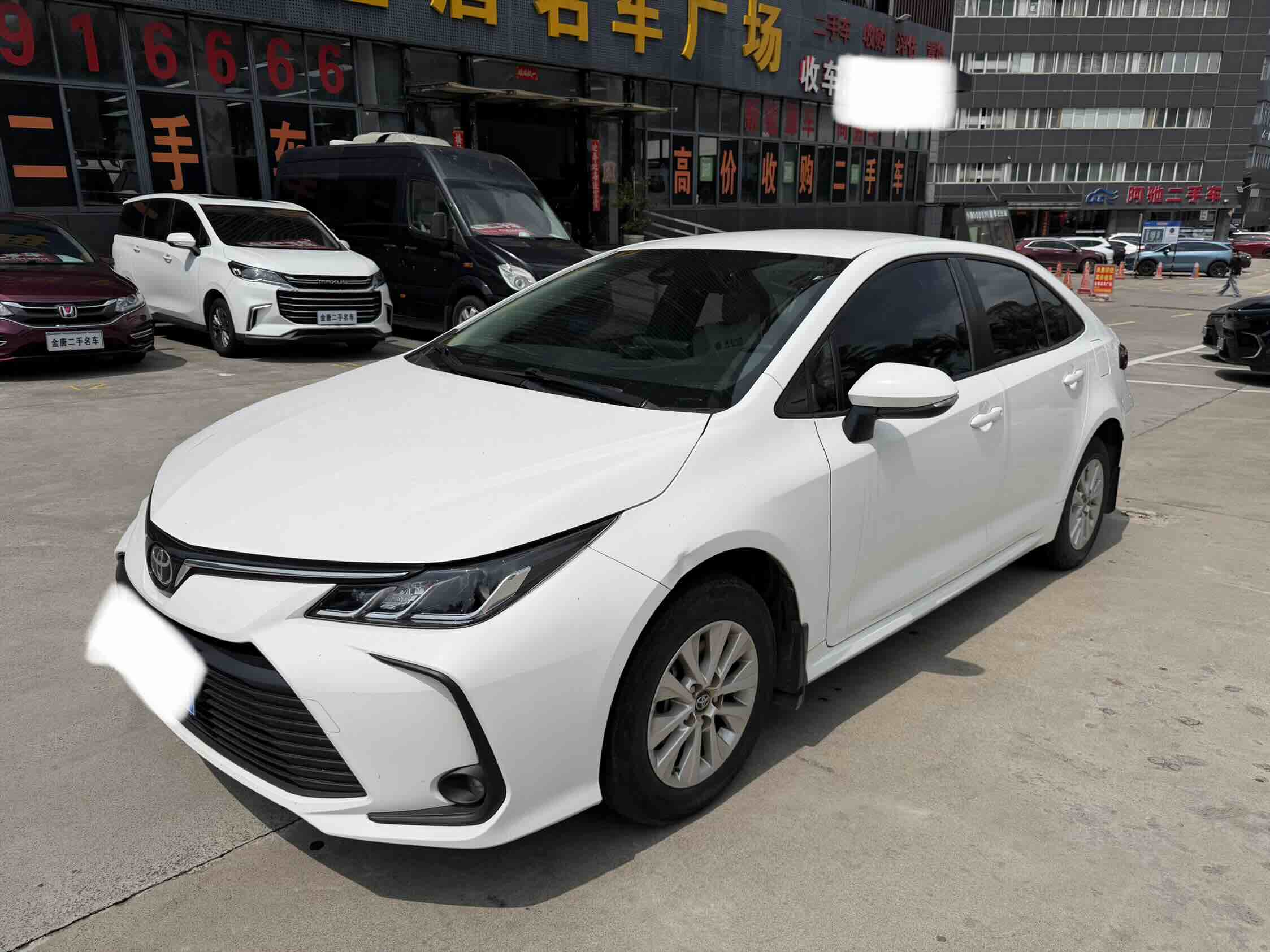 Toyota Corolla 2023 Toyota Corolla 2023 car image