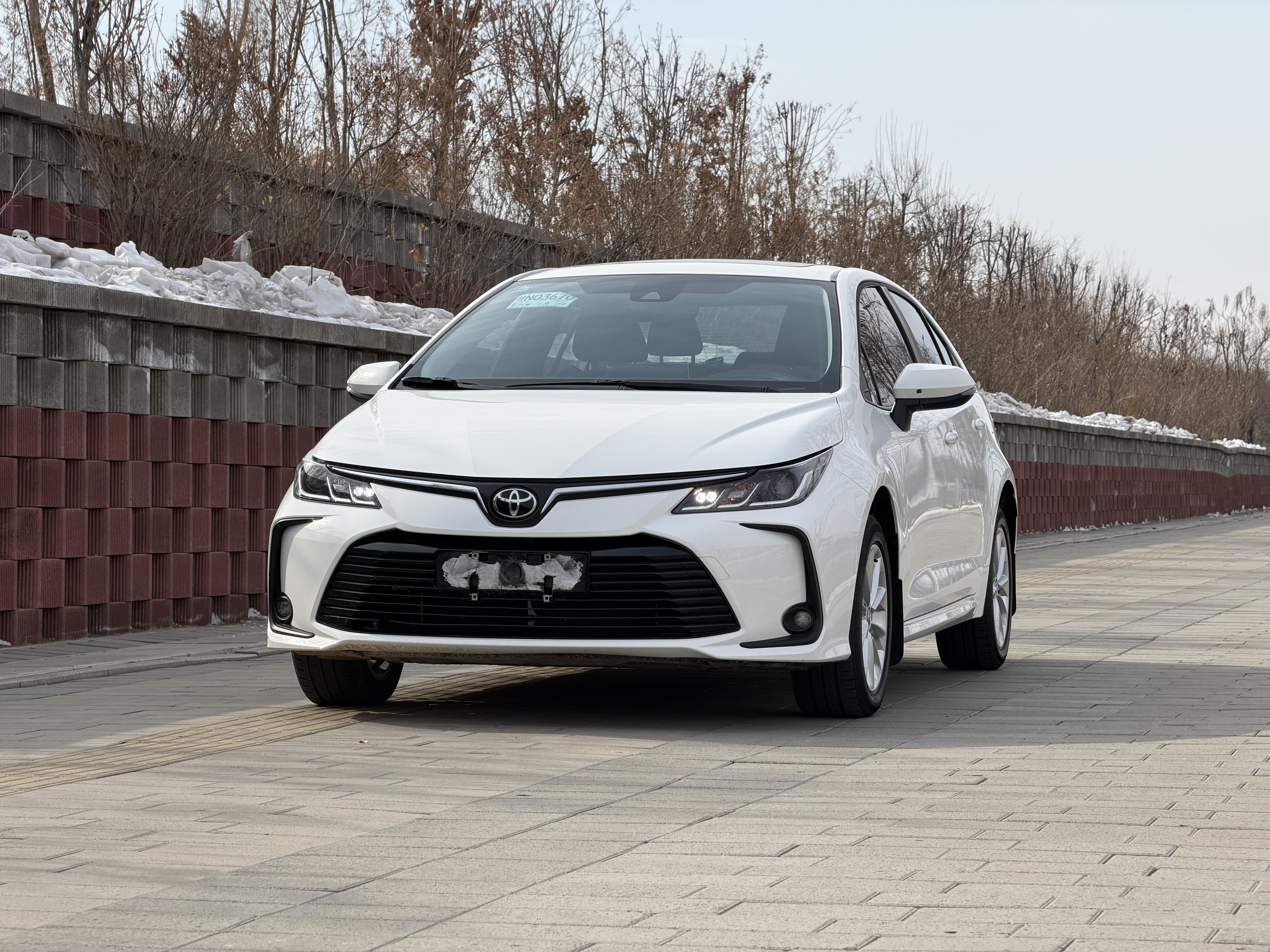 Corolla 2023 Corolla 2023 immagine di auto