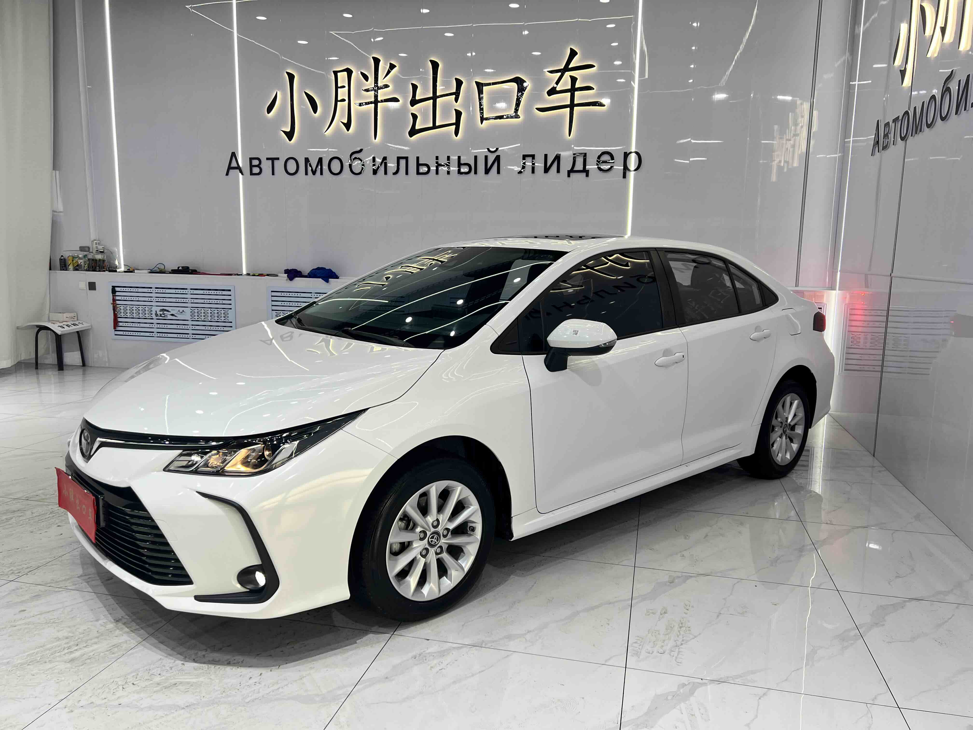 Toyota Corolla 2021 car image 
