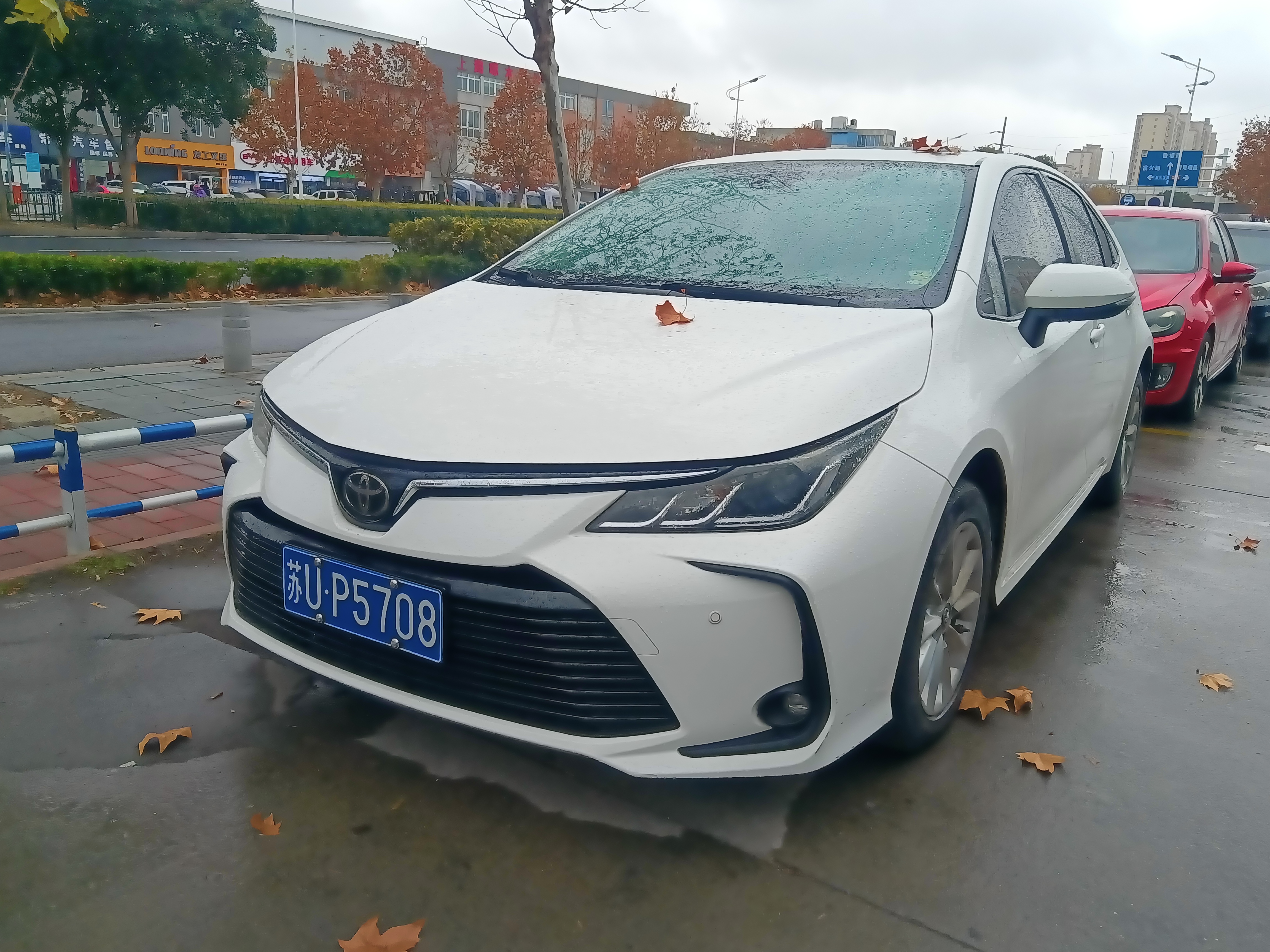 Corolla 2021 immagine di auto 