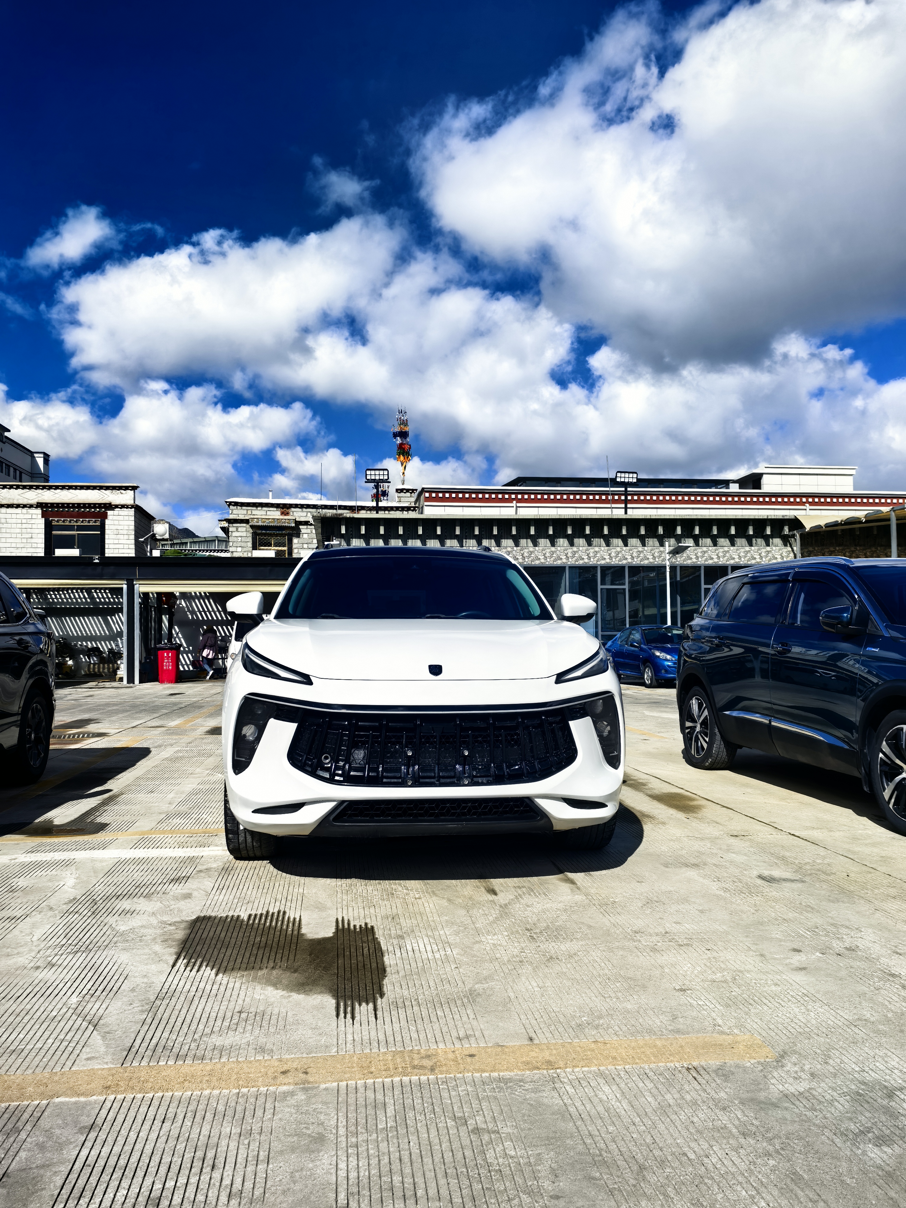 T5 EVO 2021 immagine di auto 