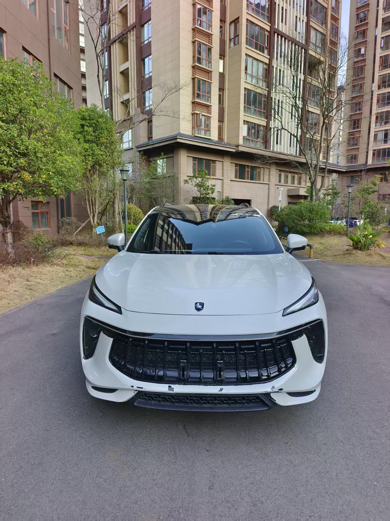 Forthing T5 EVO 2021 car image 