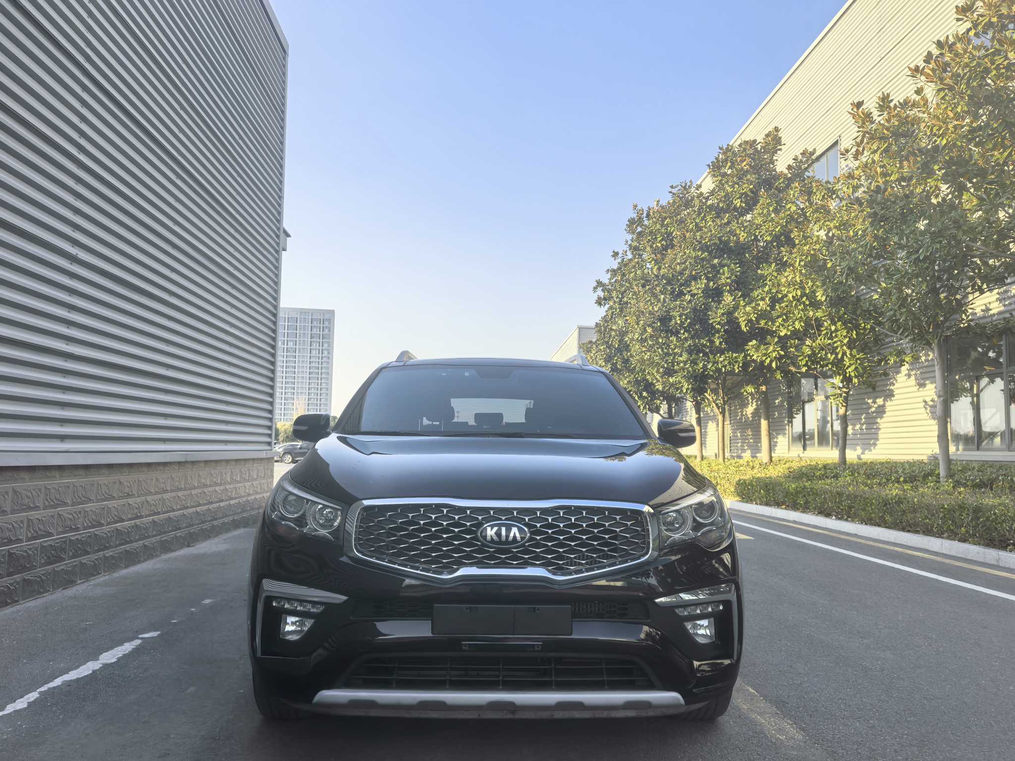 Kia Sorento 2022 汽车图片 