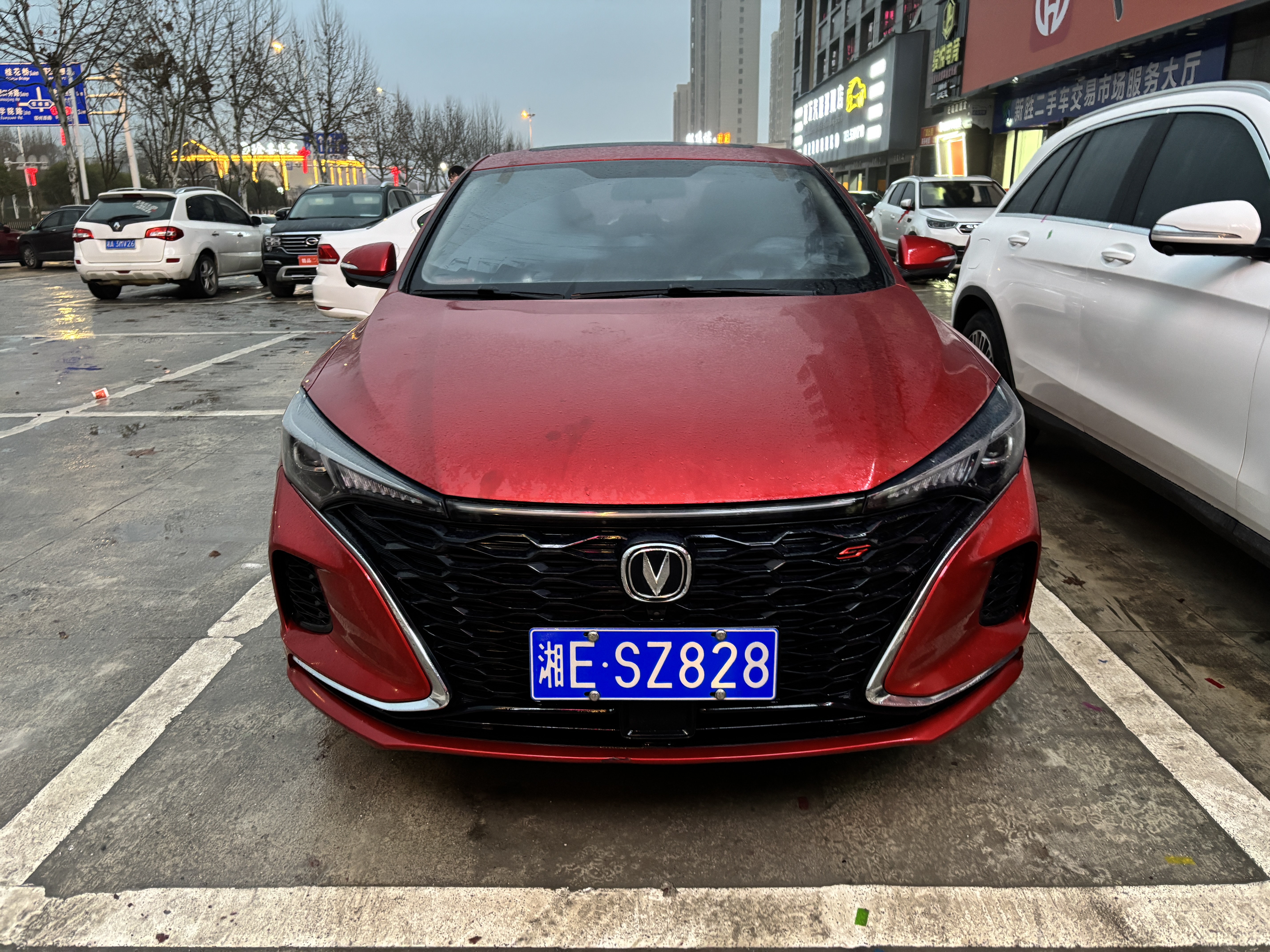 Changan Eado 2021 изображение автомобиля 