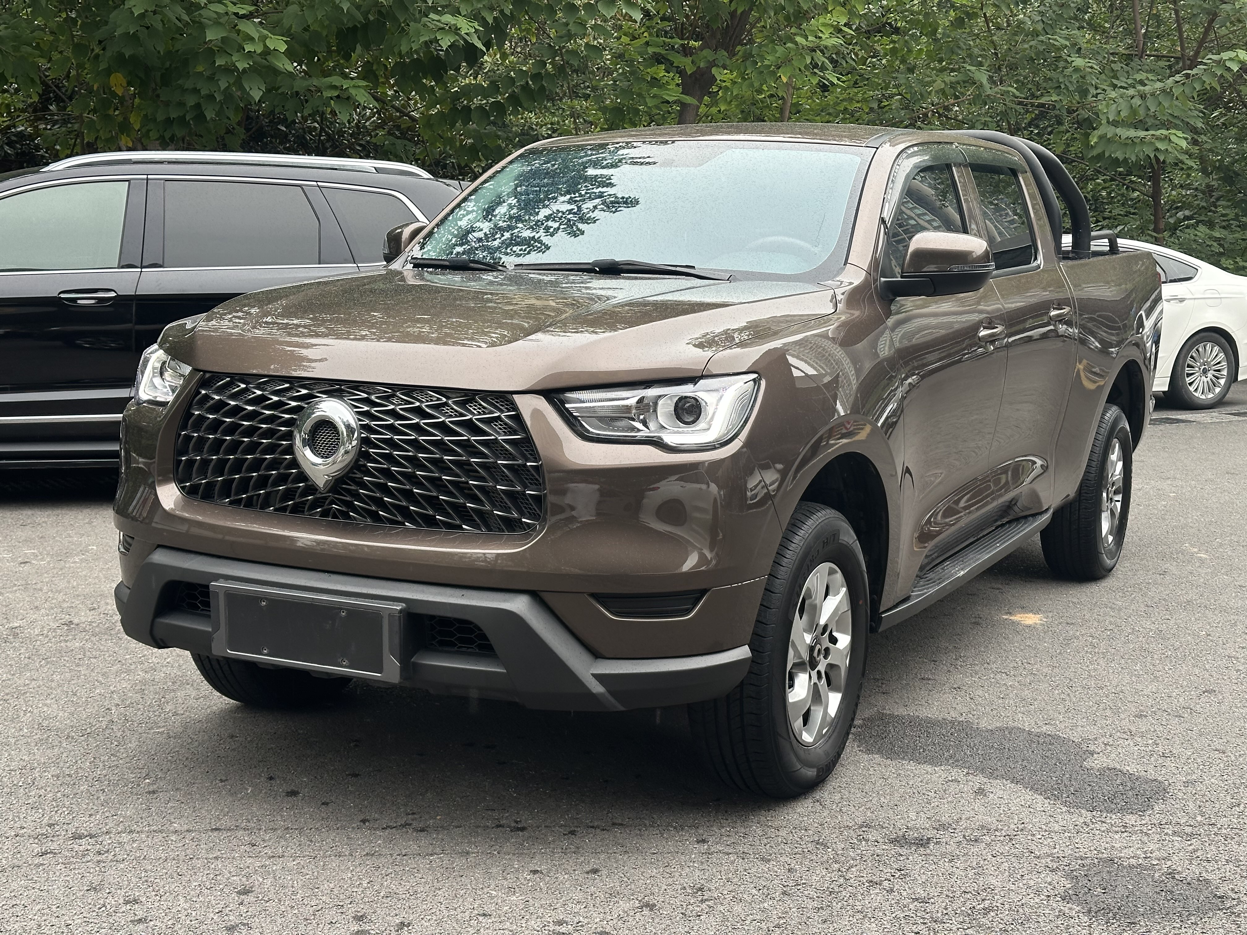 Great Wall Poer 2021 Great Wall Poer 2021 car image