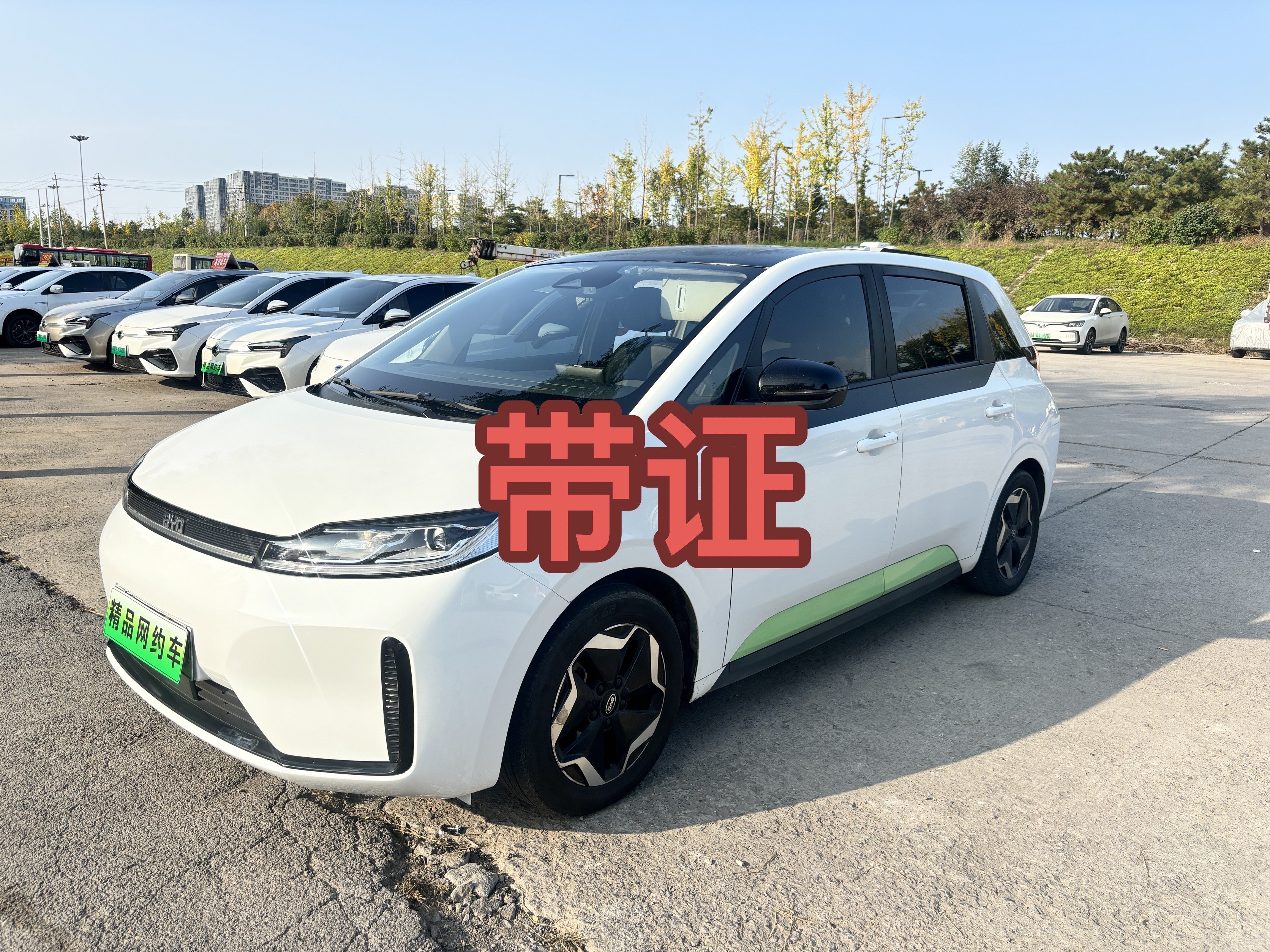 BYD D1 2021 car image 