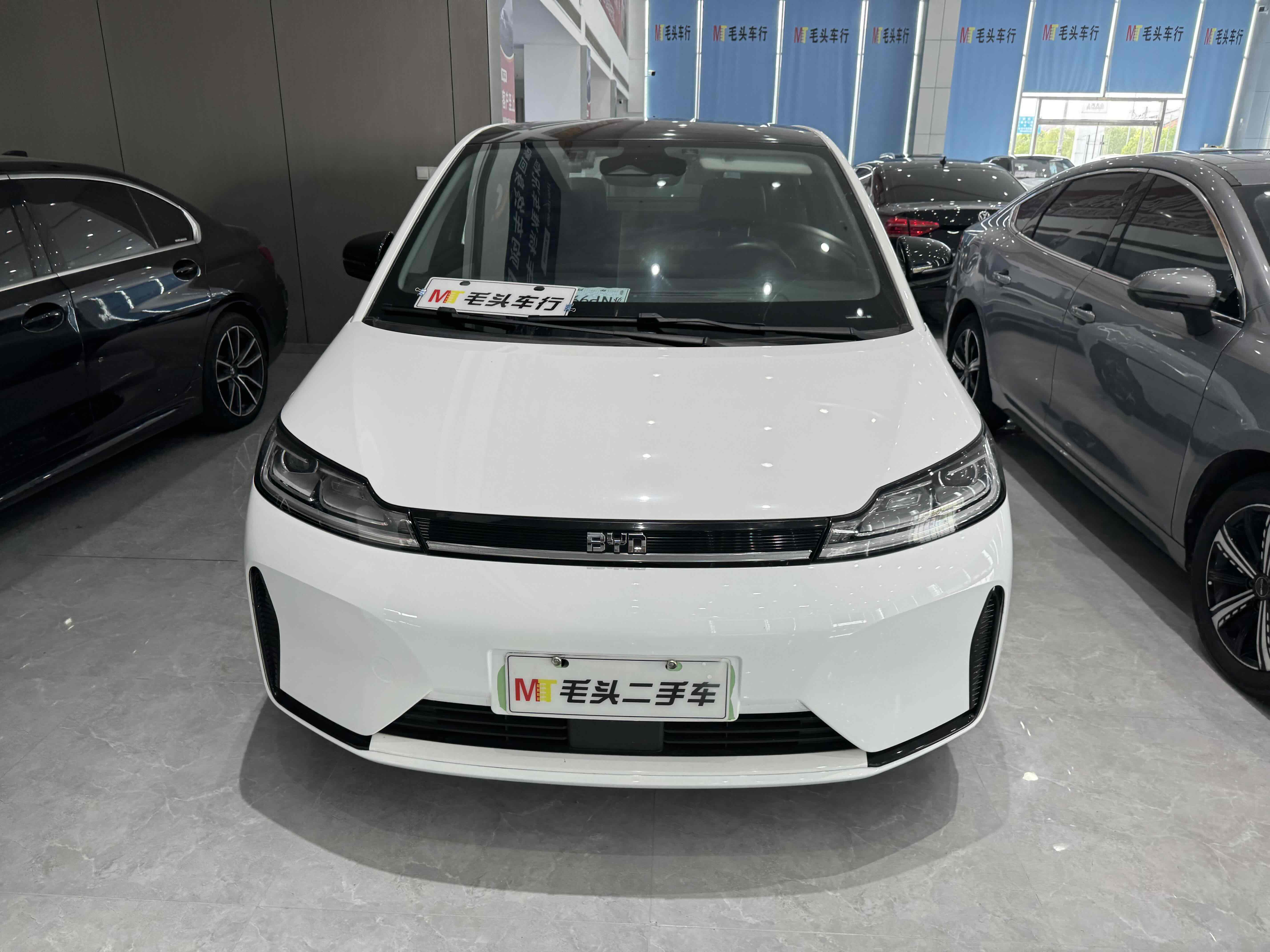 BYD D1 2021 car image 