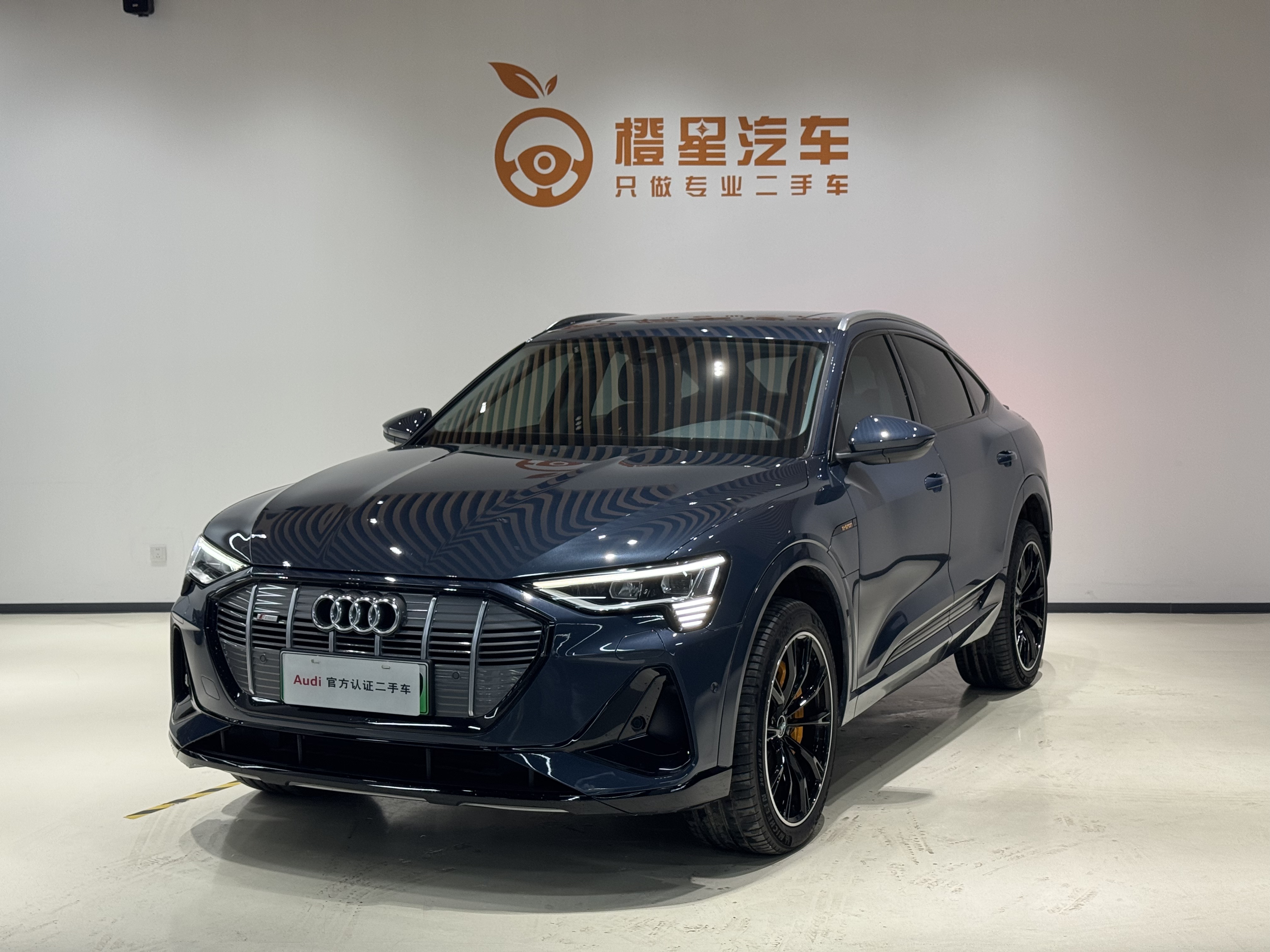 Audi e-tron (Imported) 2022 car image 