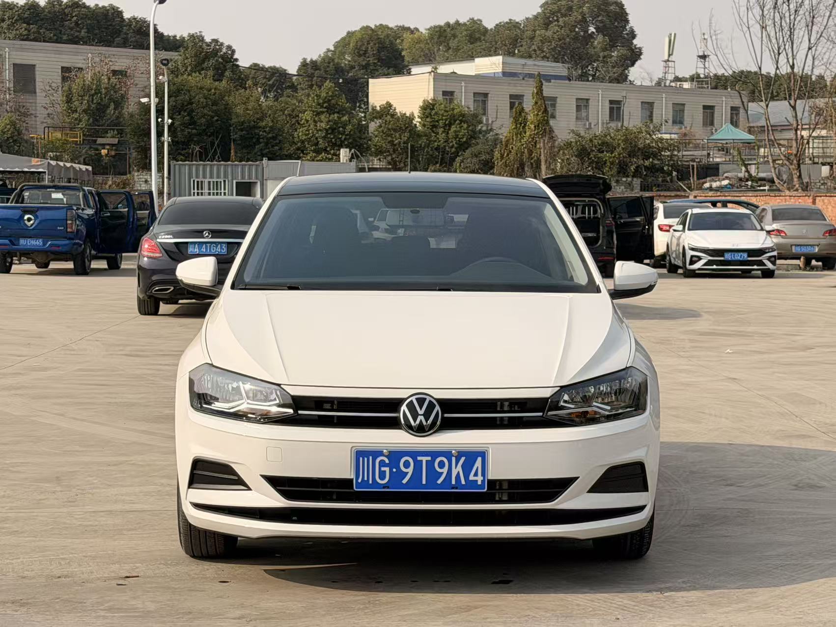 Polo 2021 immagine di auto 