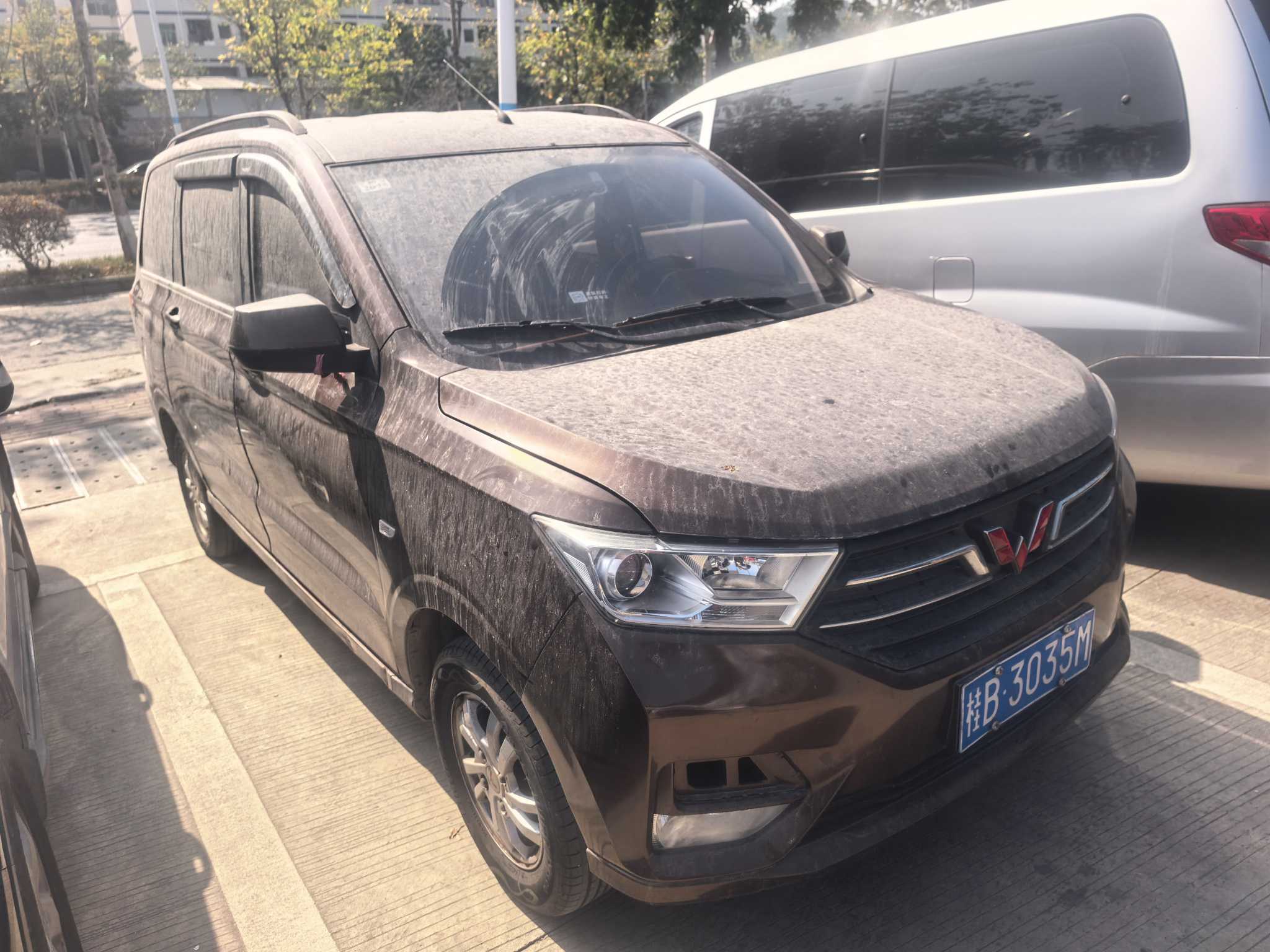 Wuling Hongguang 2021 汽车图片 