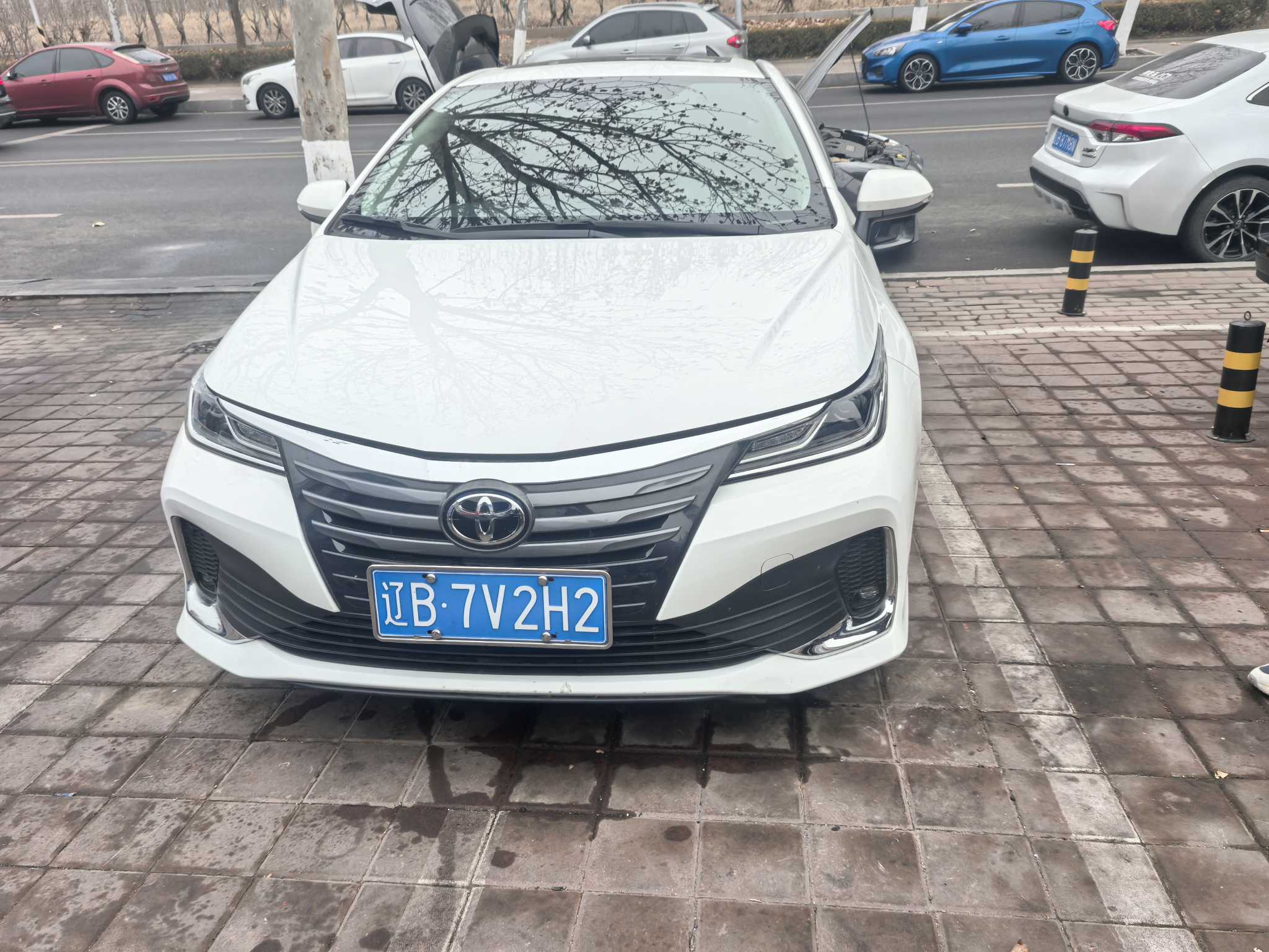 Toyota Allion 2022 car image 