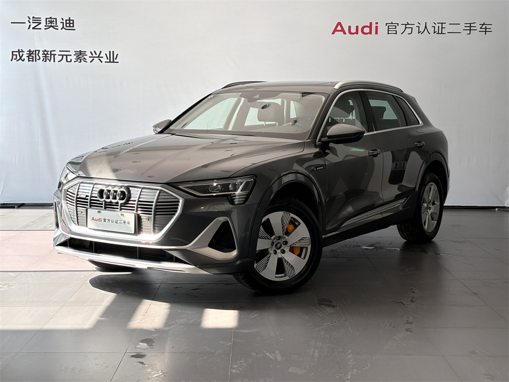 Audi e-tron 2023 car image 